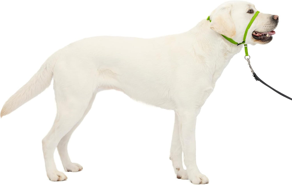 PetSafe Gentle Leader No-Pull Dog Headcollar - The Ultimate Solution to Pulling - Redirects Your Dog's Pulling for Easier Walks - Helps You Regain Control - Large, Black