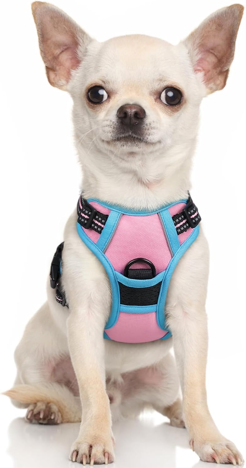 rabbitgoo Dog Harness No Pull with 2 Leash Clips, Adjustable Soft Padded, Reflective Oxford No Choke Pet Vest with Easy Control Handle for Large Dogs, Black, L