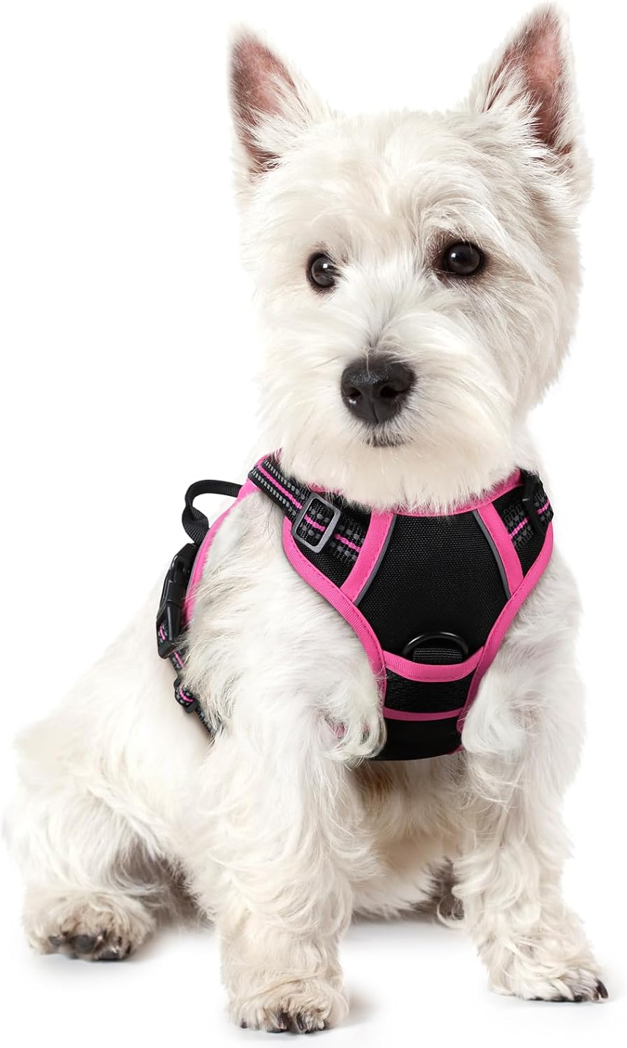 rabbitgoo Dog Harness No Pull with 2 Leash Clips, Adjustable Soft Padded, Reflective Oxford No Choke Pet Vest with Easy Control Handle for Large Dogs, Black, L