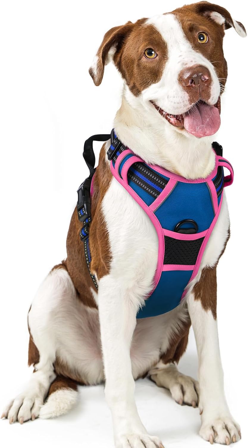 rabbitgoo Dog Harness No Pull with 2 Leash Clips, Adjustable Soft Padded, Reflective Oxford No Choke Pet Vest with Easy Control Handle for Large Dogs, Black, L