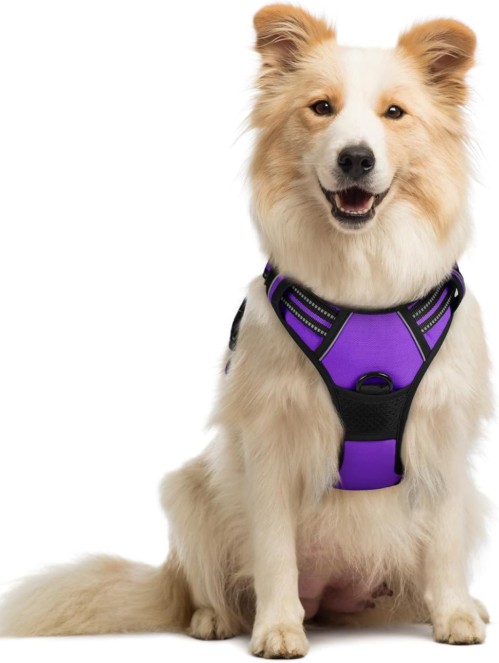 rabbitgoo Dog Harness No Pull with 2 Leash Clips, Adjustable Soft Padded, Reflective Oxford No Choke Pet Vest with Easy Control Handle for Large Dogs, Black, L