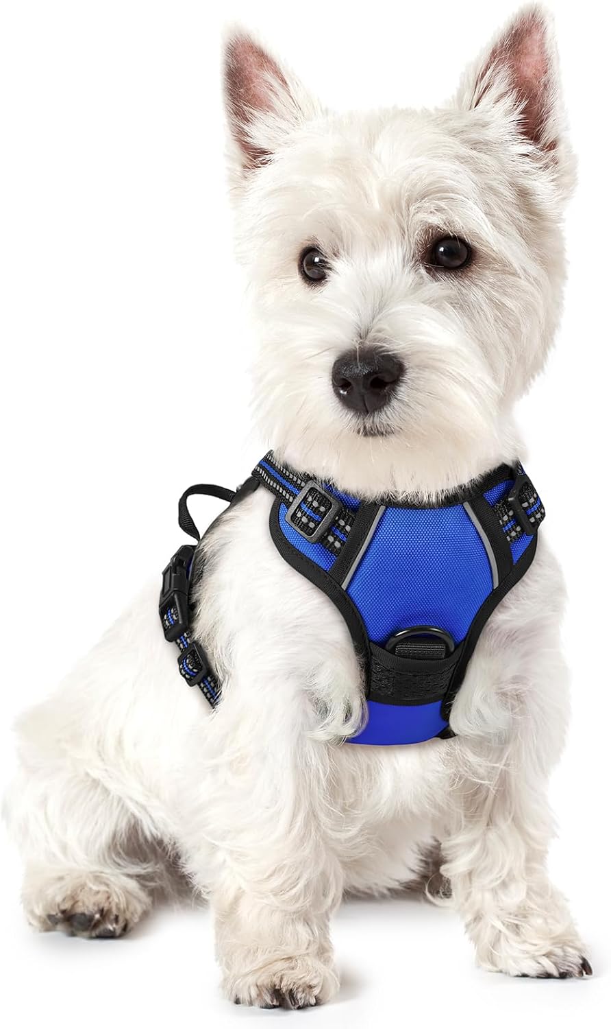 rabbitgoo Dog Harness No Pull with 2 Leash Clips, Adjustable Soft Padded, Reflective Oxford No Choke Pet Vest with Easy Control Handle for Large Dogs, Black, L