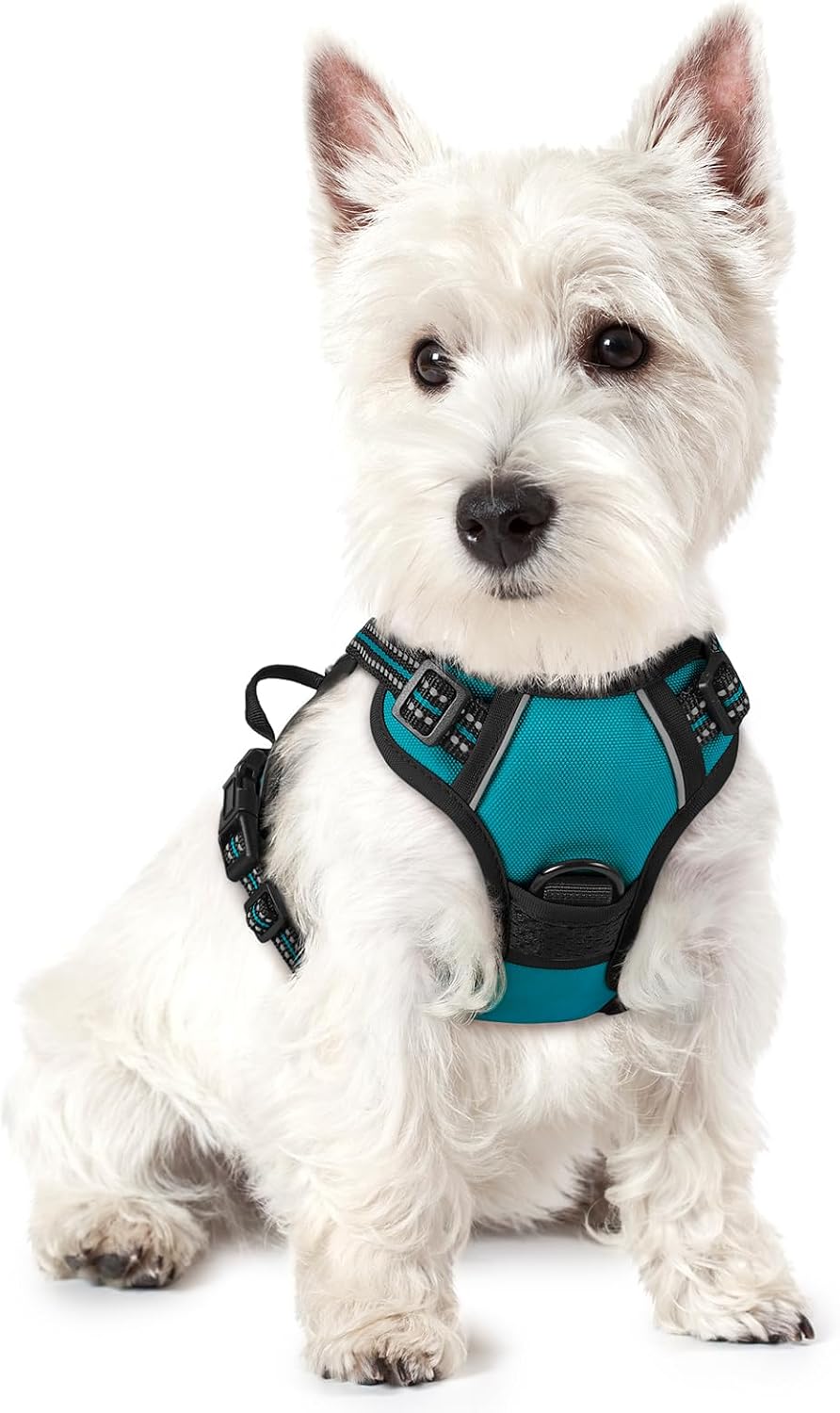 rabbitgoo Dog Harness No Pull with 2 Leash Clips, Adjustable Soft Padded, Reflective Oxford No Choke Pet Vest with Easy Control Handle for Large Dogs, Black, L