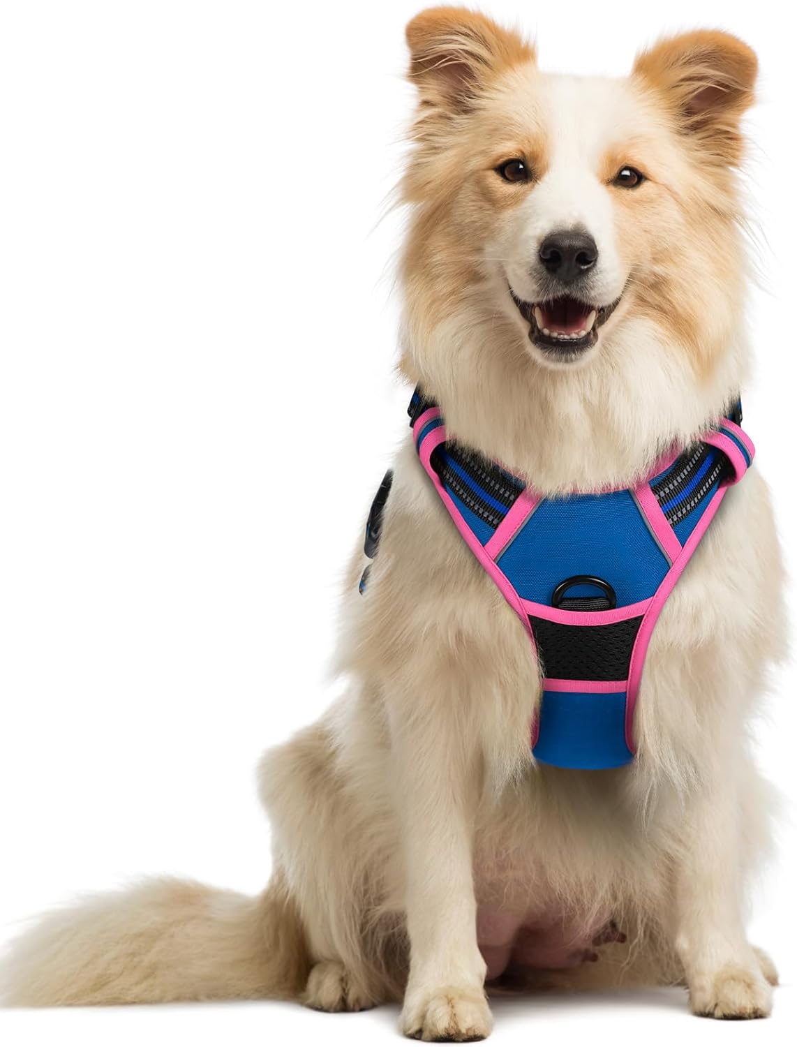 rabbitgoo Dog Harness No Pull with 2 Leash Clips, Adjustable Soft Padded, Reflective Oxford No Choke Pet Vest with Easy Control Handle for Large Dogs, Black, L