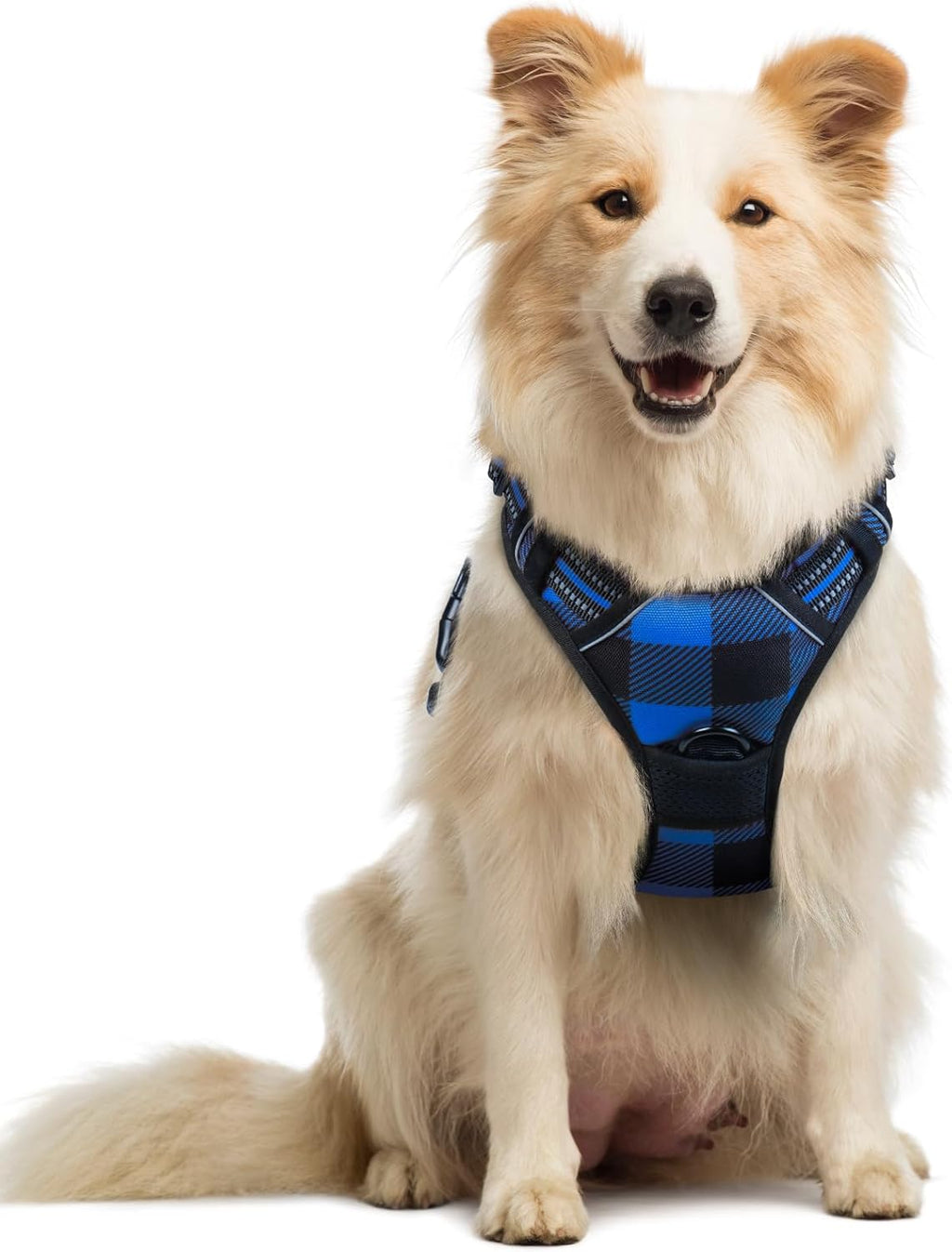 rabbitgoo Dog Harness No Pull with 2 Leash Clips, Adjustable Soft Padded, Reflective Oxford No Choke Pet Vest with Easy Control Handle for Large Dogs, Black, L