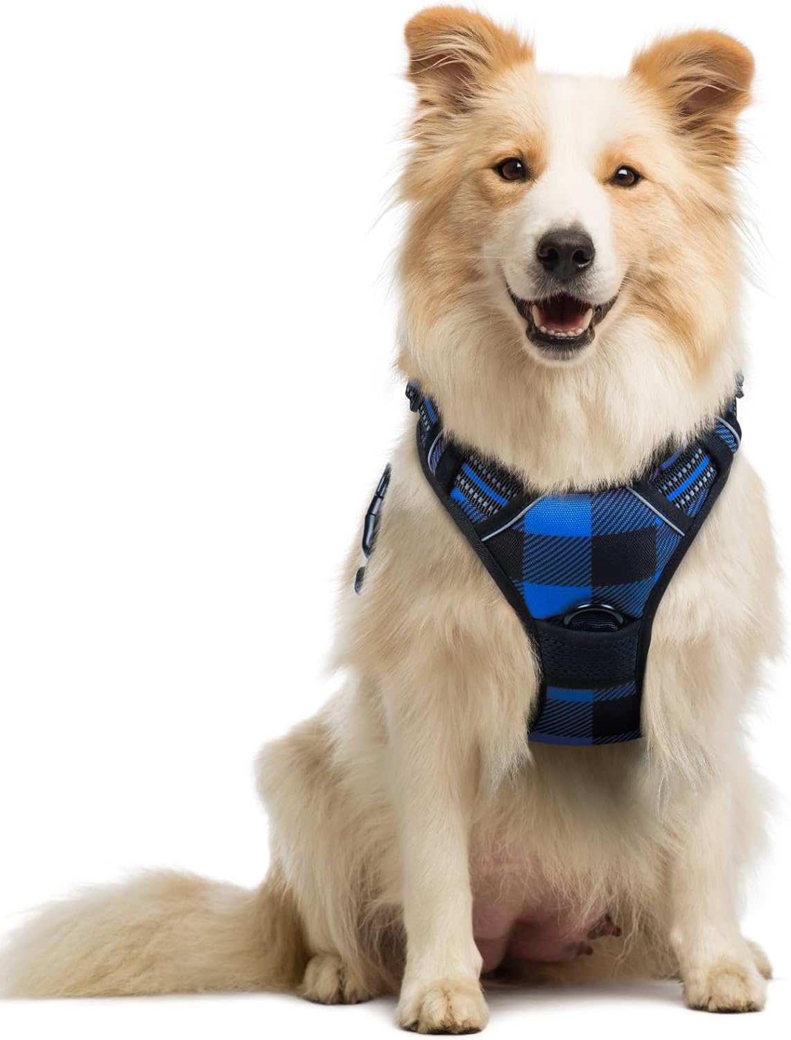 rabbitgoo Dog Harness No Pull with 2 Leash Clips, Adjustable Soft Padded, Reflective Oxford No Choke Pet Vest with Easy Control Handle for Large Dogs, Black, L