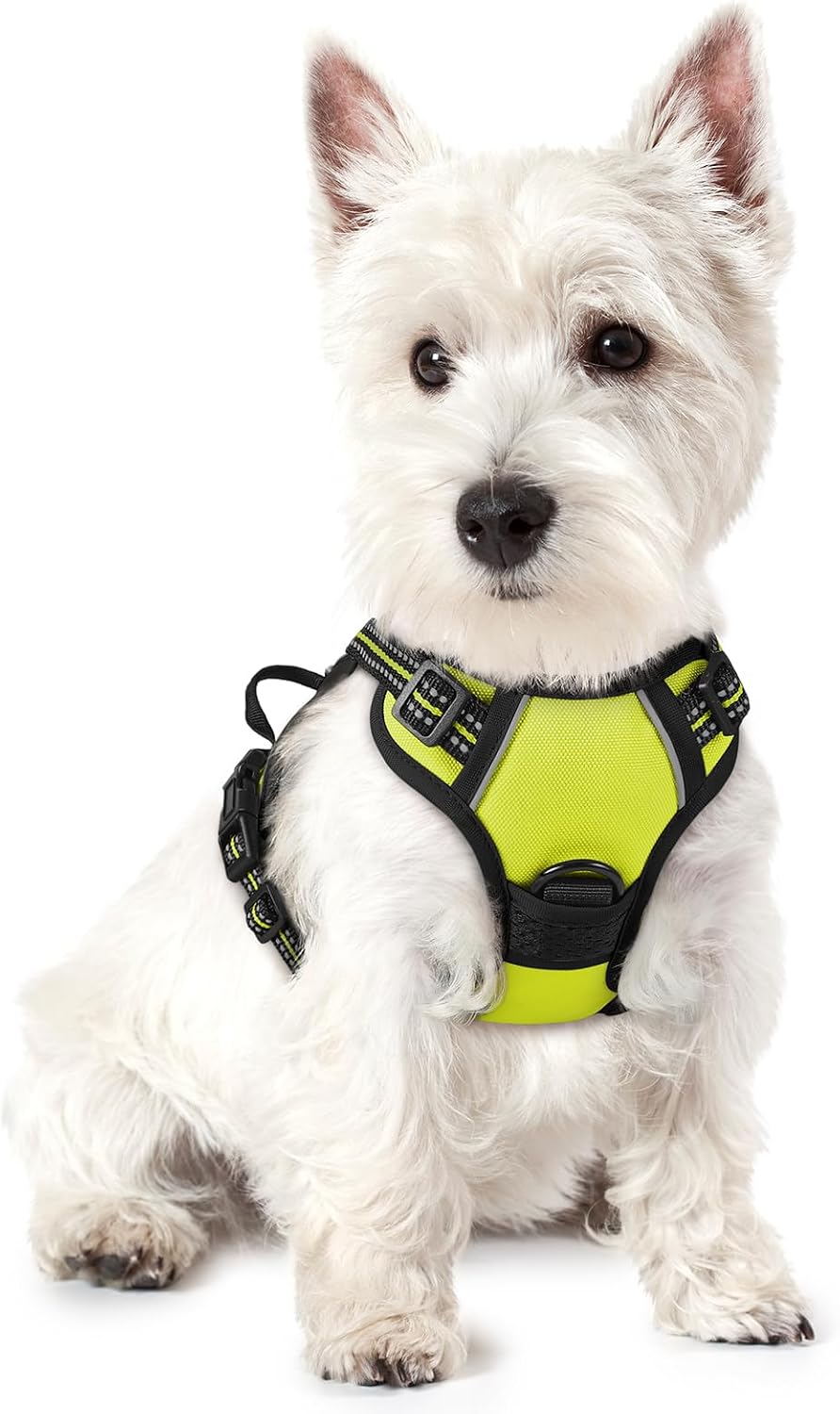 rabbitgoo Dog Harness No Pull with 2 Leash Clips, Adjustable Soft Padded, Reflective Oxford No Choke Pet Vest with Easy Control Handle for Large Dogs, Black, L