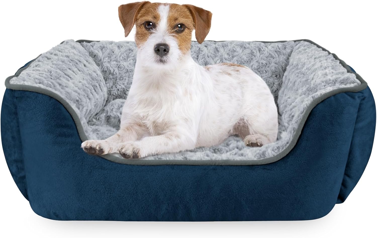 JOEJOY Rectangle Dog Bed for Large Medium Small Dogs - Washable Orthopedic Sofa Bed, Soft Breathable Puppy & Pet Cuddler, Durable Calming Dog Bed with Anti-Slip Bottom, Multiple Sizes, Beige