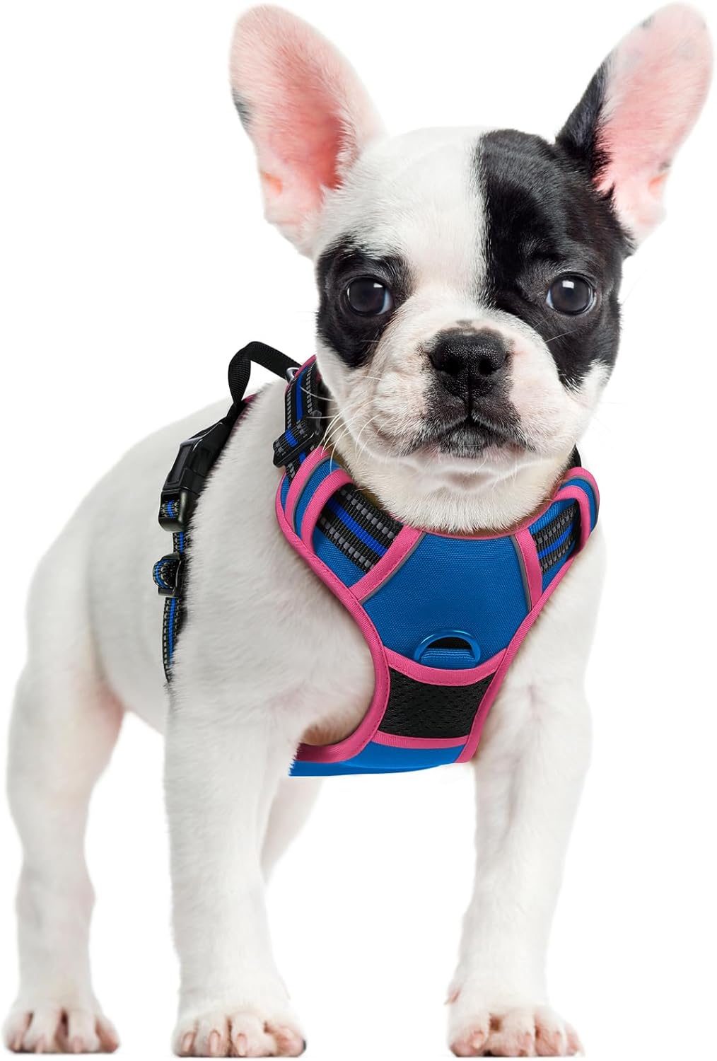 rabbitgoo Dog Harness No Pull with 2 Leash Clips, Adjustable Soft Padded, Reflective Oxford No Choke Pet Vest with Easy Control Handle for Large Dogs, Black, L