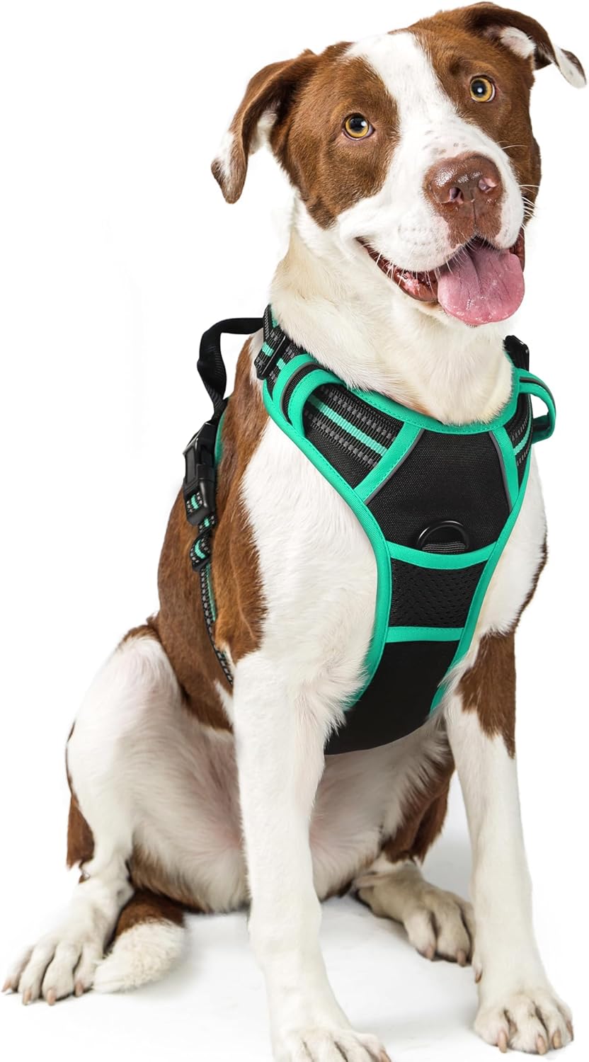 rabbitgoo Dog Harness No Pull with 2 Leash Clips, Adjustable Soft Padded, Reflective Oxford No Choke Pet Vest with Easy Control Handle for Large Dogs, Black, L