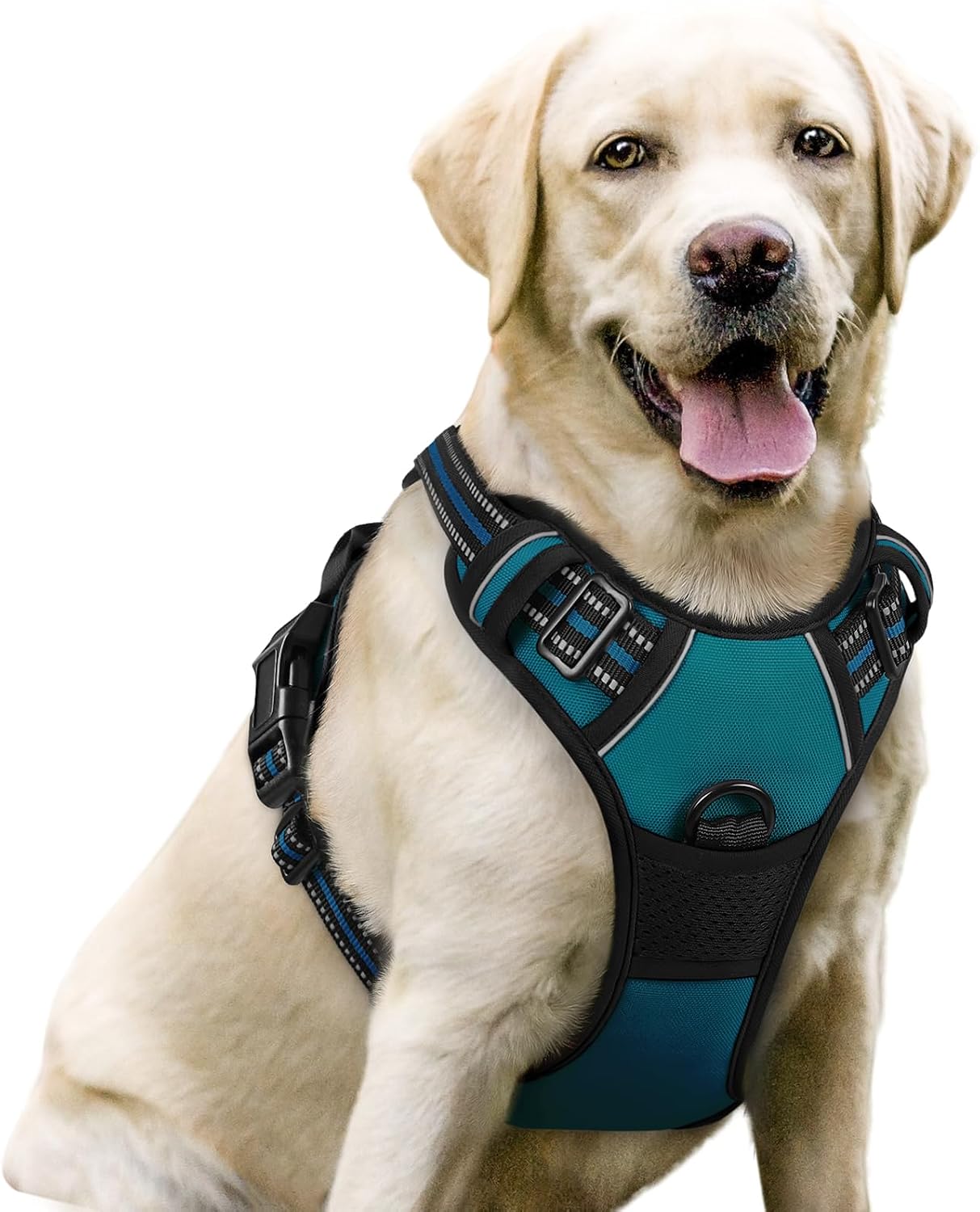 rabbitgoo Dog Harness No Pull with 2 Leash Clips, Adjustable Soft Padded, Reflective Oxford No Choke Pet Vest with Easy Control Handle for Large Dogs, Black, L