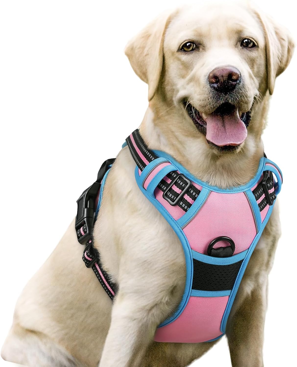 rabbitgoo Dog Harness No Pull with 2 Leash Clips, Adjustable Soft Padded, Reflective Oxford No Choke Pet Vest with Easy Control Handle for Large Dogs, Black, L