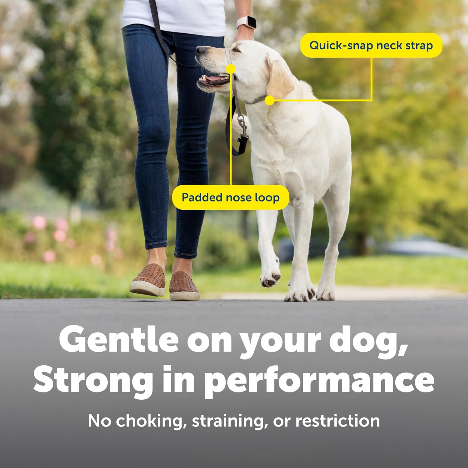 PetSafe Gentle Leader No-Pull Dog Headcollar - The Ultimate Solution to Pulling - Redirects Your Dog's Pulling for Easier Walks - Helps You Regain Control - Large, Black