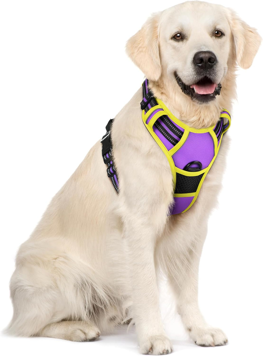 rabbitgoo Dog Harness No Pull with 2 Leash Clips, Adjustable Soft Padded, Reflective Oxford No Choke Pet Vest with Easy Control Handle for Large Dogs, Black, L