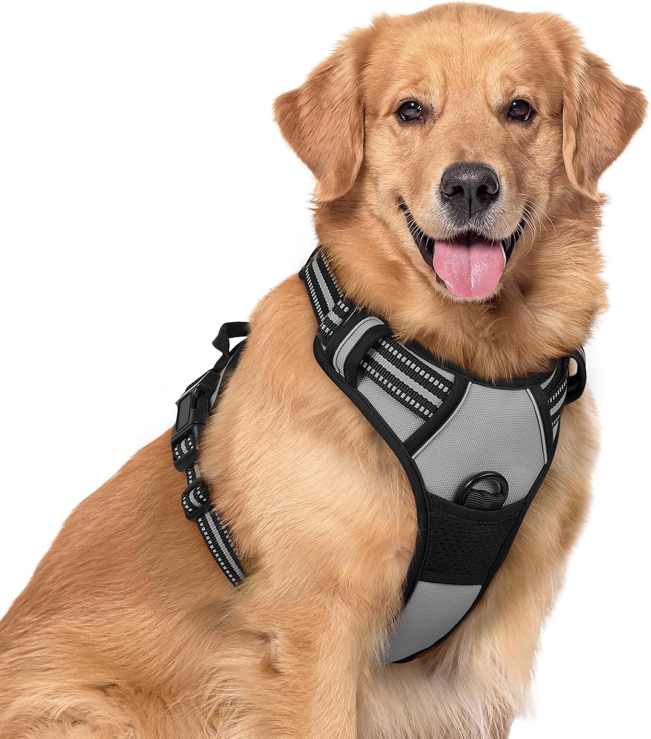 rabbitgoo Dog Harness No Pull with 2 Leash Clips, Adjustable Soft Padded, Reflective Oxford No Choke Pet Vest with Easy Control Handle for Large Dogs, Black, L