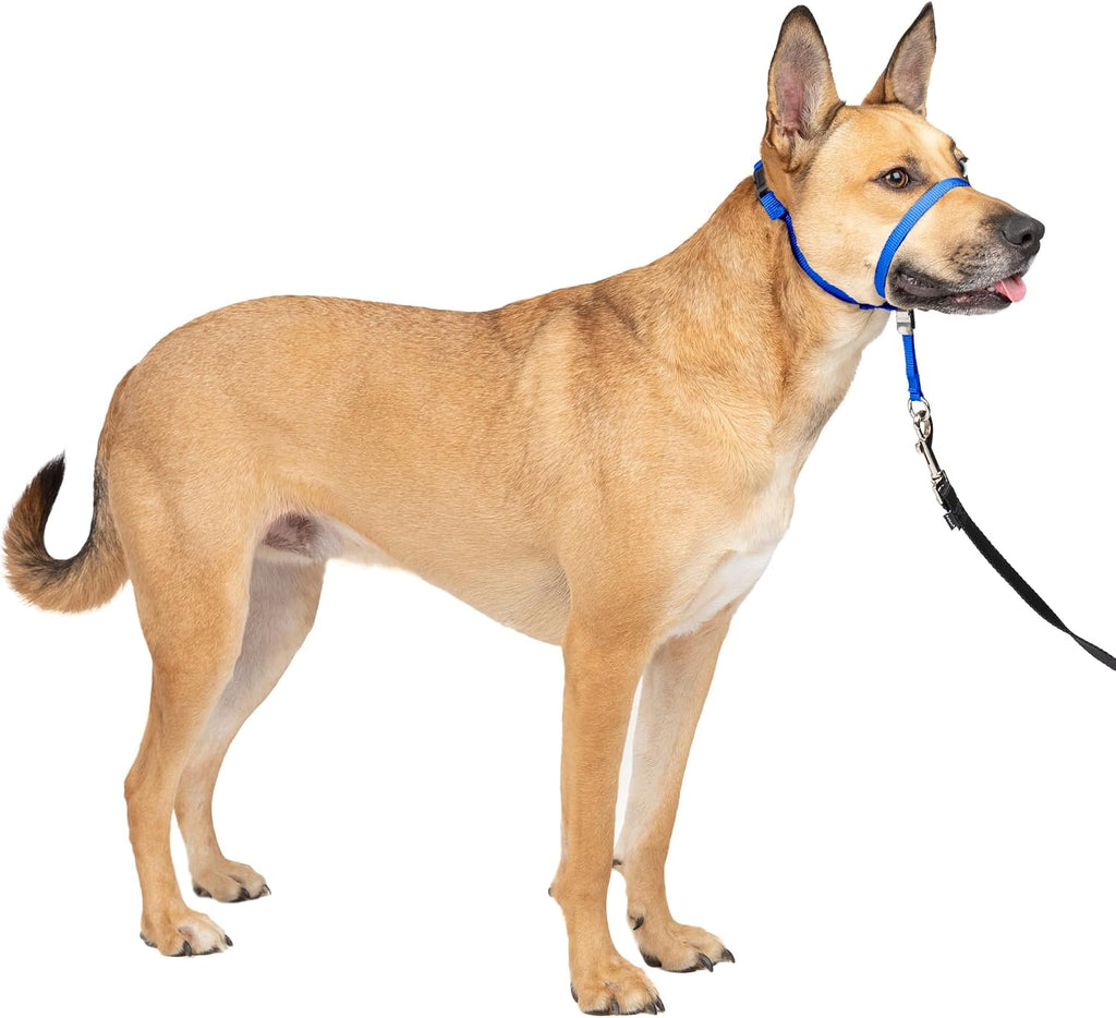 PetSafe Gentle Leader No-Pull Dog Headcollar - The Ultimate Solution to Pulling - Redirects Your Dog's Pulling for Easier Walks - Helps You Regain Control - Large, Black