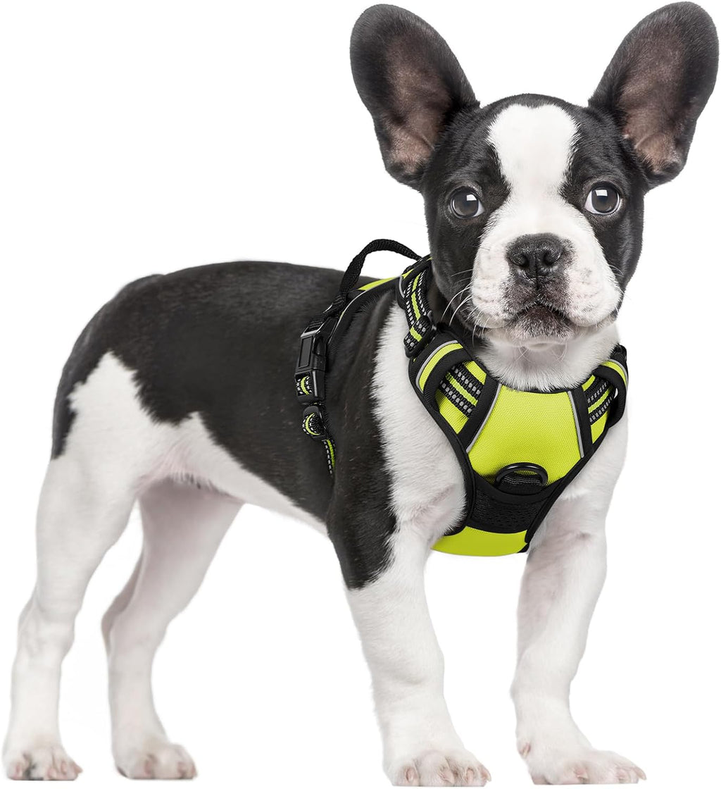 rabbitgoo Dog Harness No Pull with 2 Leash Clips, Adjustable Soft Padded, Reflective Oxford No Choke Pet Vest with Easy Control Handle for Large Dogs, Black, L