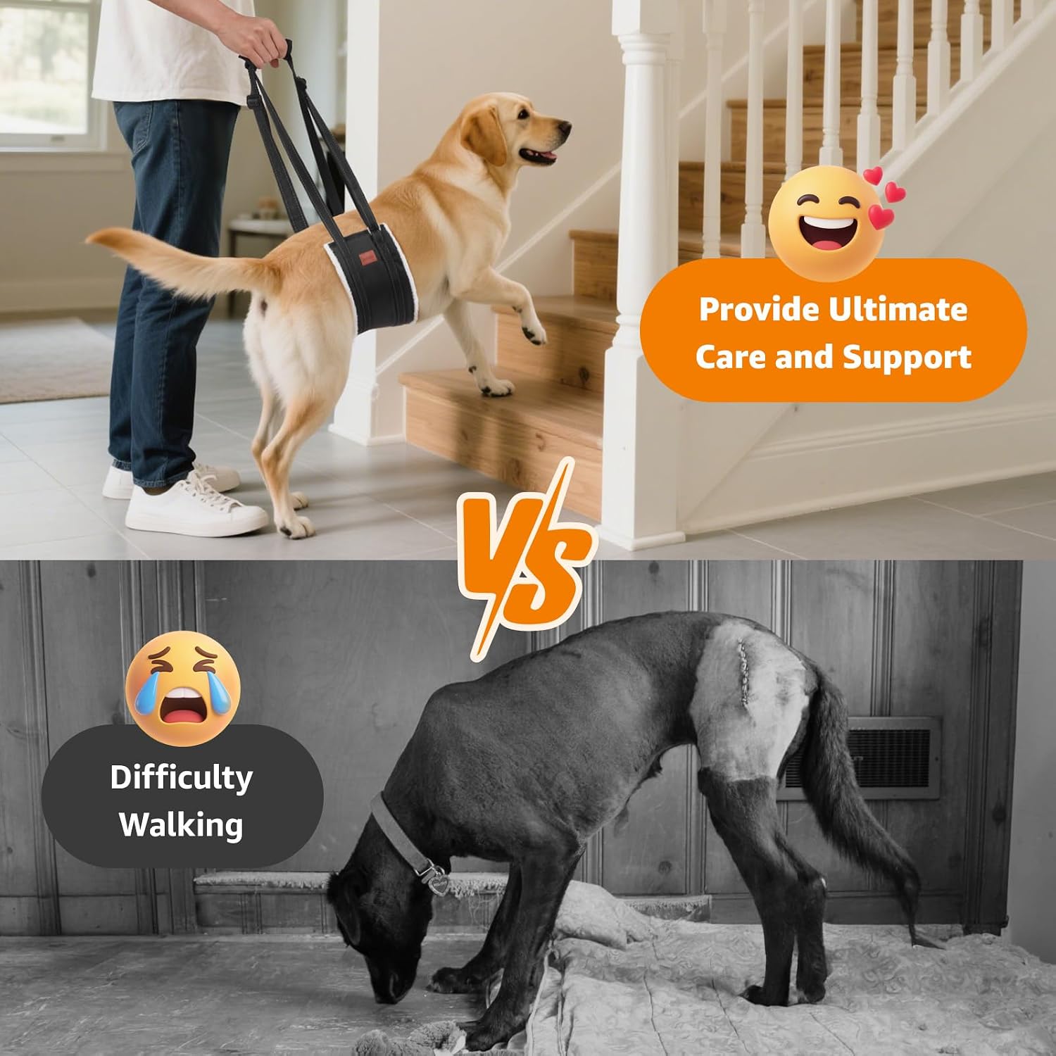 LOOBANI Portable Dog Sling for Back Legs, Hip Support Harness to Help Lift Rear for Canine Aid Old K9 Cruciate Ligament Rehabilitation