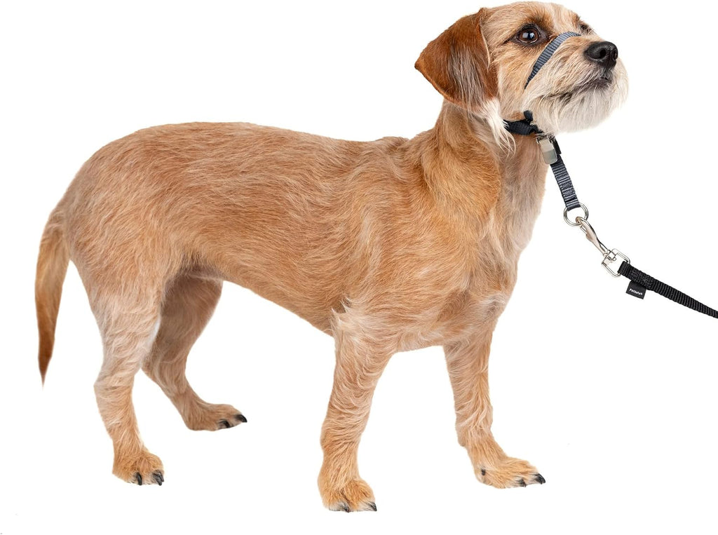 PetSafe Gentle Leader No-Pull Dog Headcollar - The Ultimate Solution to Pulling - Redirects Your Dog's Pulling for Easier Walks - Helps You Regain Control - Large, Black