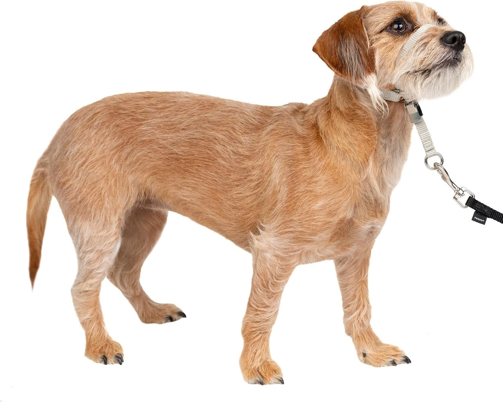 PetSafe Gentle Leader No-Pull Dog Headcollar - The Ultimate Solution to Pulling - Redirects Your Dog's Pulling for Easier Walks - Helps You Regain Control - Large, Black