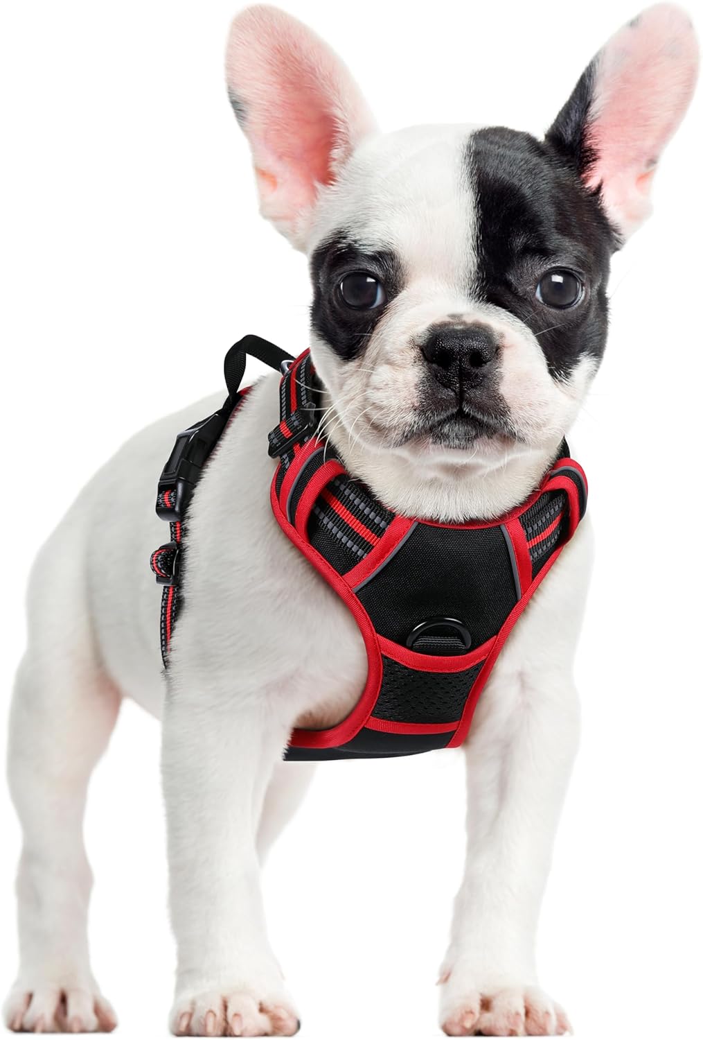 rabbitgoo Dog Harness No Pull with 2 Leash Clips, Adjustable Soft Padded, Reflective Oxford No Choke Pet Vest with Easy Control Handle for Large Dogs, Black, L