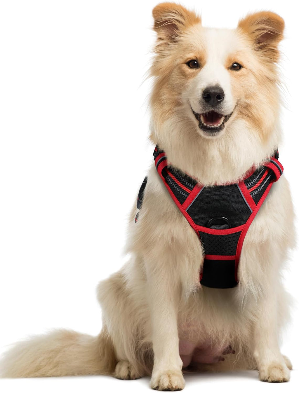 rabbitgoo Dog Harness No Pull with 2 Leash Clips, Adjustable Soft Padded, Reflective Oxford No Choke Pet Vest with Easy Control Handle for Large Dogs, Black, L