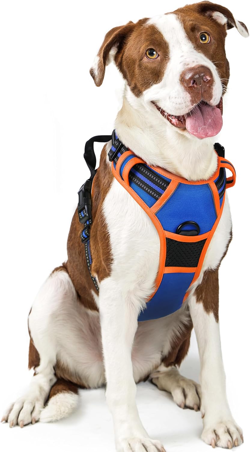 rabbitgoo Dog Harness No Pull with 2 Leash Clips, Adjustable Soft Padded, Reflective Oxford No Choke Pet Vest with Easy Control Handle for Large Dogs, Black, L