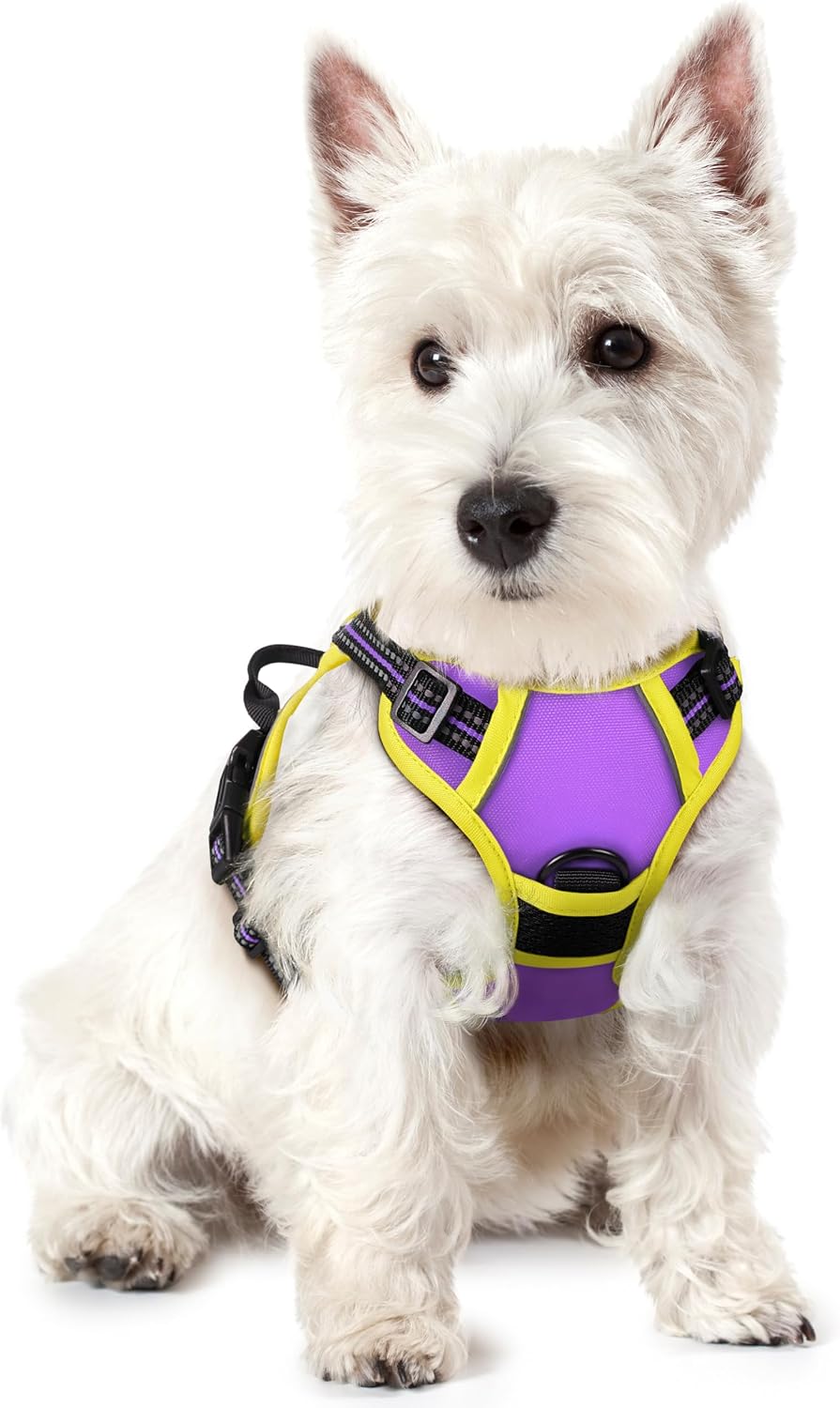 rabbitgoo Dog Harness No Pull with 2 Leash Clips, Adjustable Soft Padded, Reflective Oxford No Choke Pet Vest with Easy Control Handle for Large Dogs, Black, L