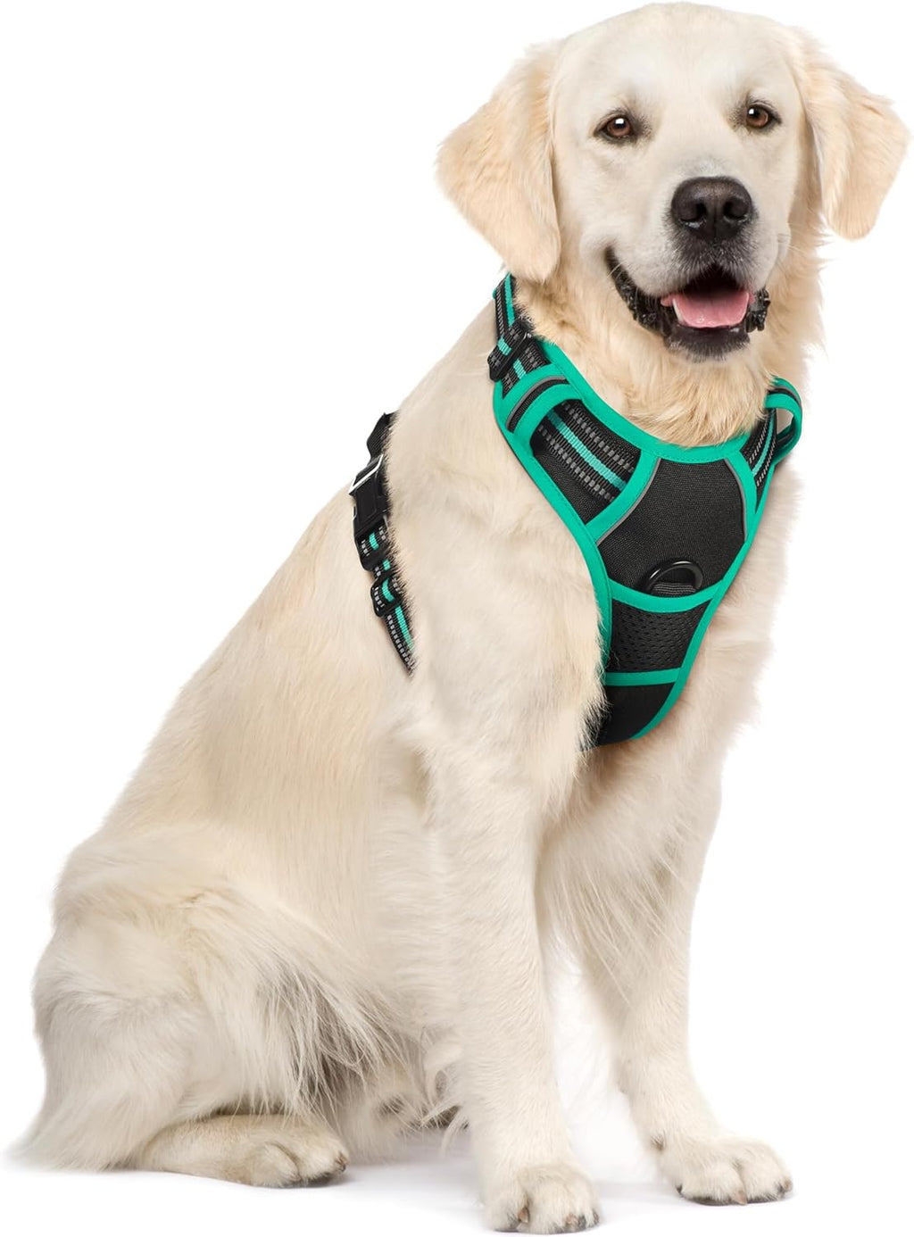 rabbitgoo Dog Harness No Pull with 2 Leash Clips, Adjustable Soft Padded, Reflective Oxford No Choke Pet Vest with Easy Control Handle for Large Dogs, Black, L