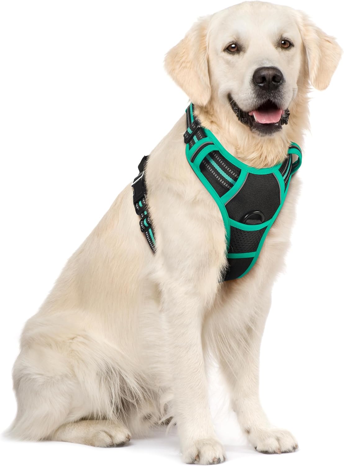 rabbitgoo Dog Harness No Pull with 2 Leash Clips, Adjustable Soft Padded, Reflective Oxford No Choke Pet Vest with Easy Control Handle for Large Dogs, Black, L
