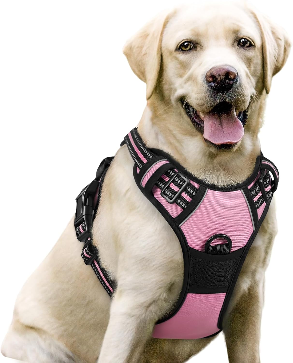 rabbitgoo Dog Harness No Pull with 2 Leash Clips, Adjustable Soft Padded, Reflective Oxford No Choke Pet Vest with Easy Control Handle for Large Dogs, Black, L