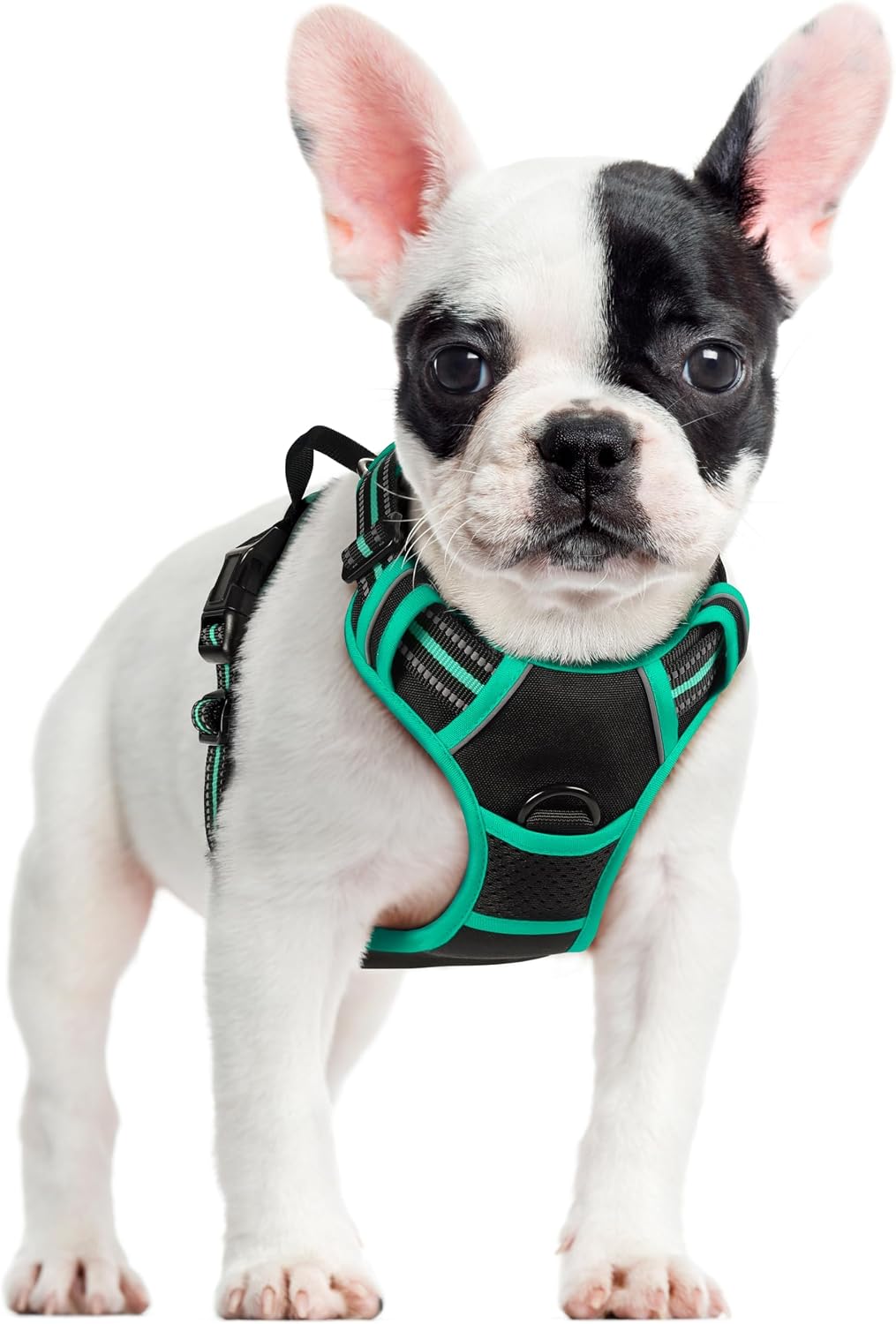 rabbitgoo Dog Harness No Pull with 2 Leash Clips, Adjustable Soft Padded, Reflective Oxford No Choke Pet Vest with Easy Control Handle for Large Dogs, Black, L