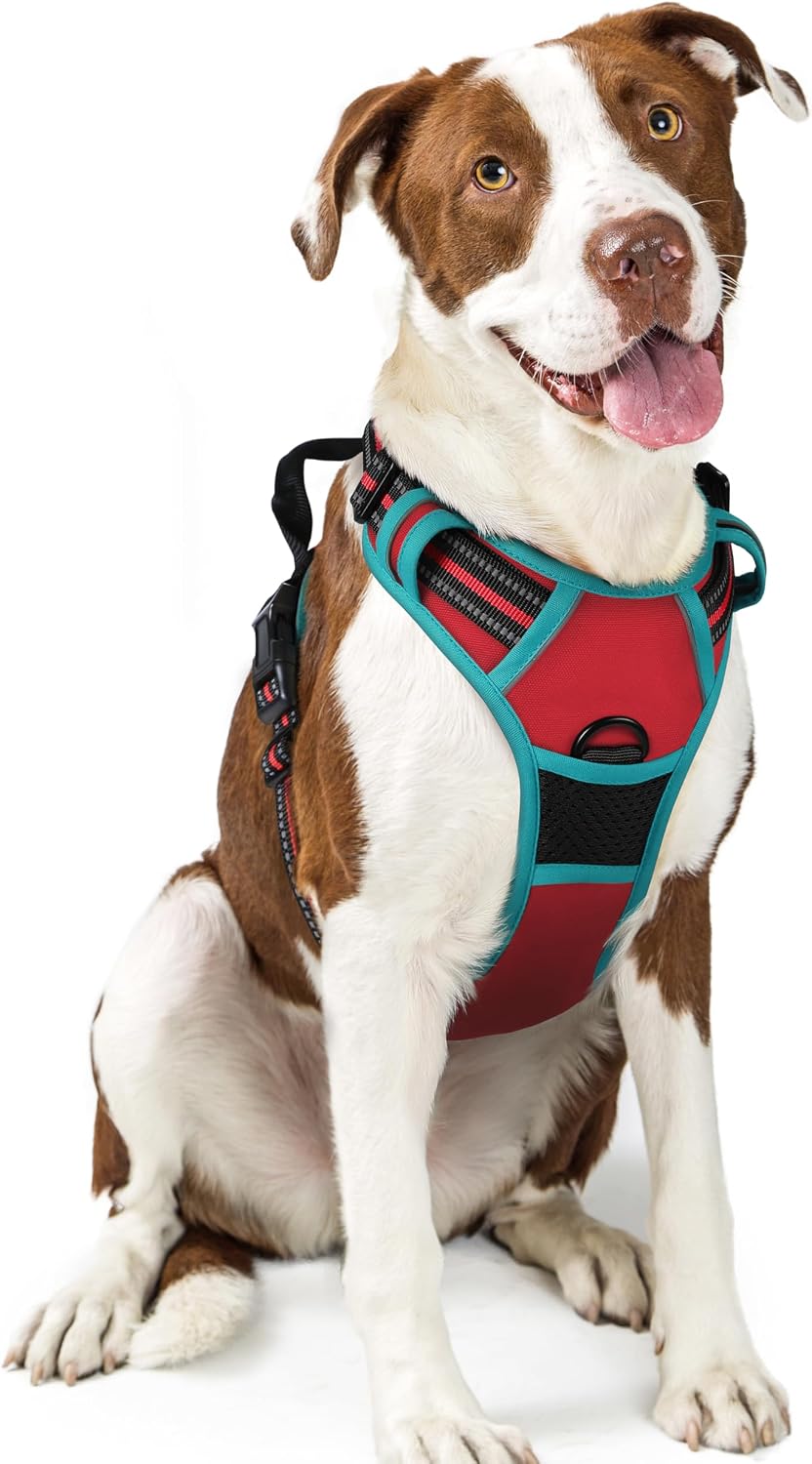 rabbitgoo Dog Harness No Pull with 2 Leash Clips, Adjustable Soft Padded, Reflective Oxford No Choke Pet Vest with Easy Control Handle for Large Dogs, Black, L