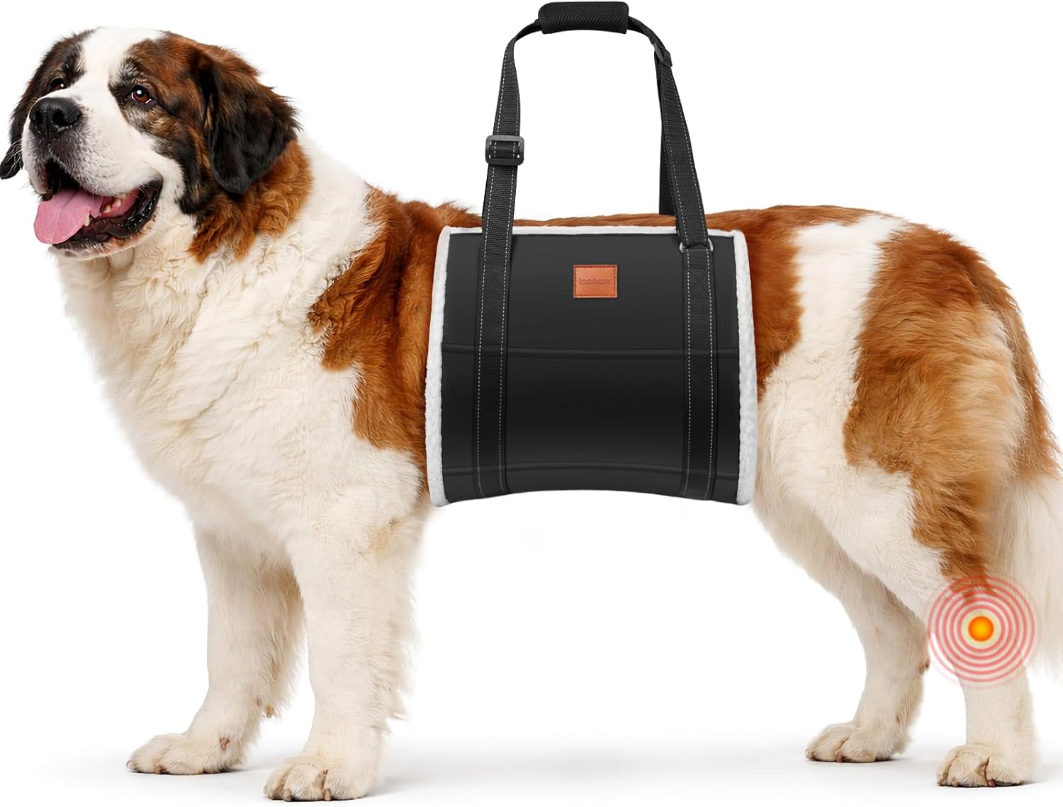 LOOBANI Portable Dog Sling for Back Legs, Hip Support Harness to Help Lift Rear for Canine Aid Old K9 Cruciate Ligament Rehabilitation