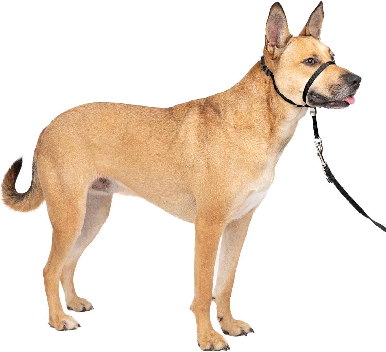 PetSafe Gentle Leader No-Pull Dog Headcollar - The Ultimate Solution to Pulling - Redirects Your Dog's Pulling for Easier Walks - Helps You Regain Control - Large, Black