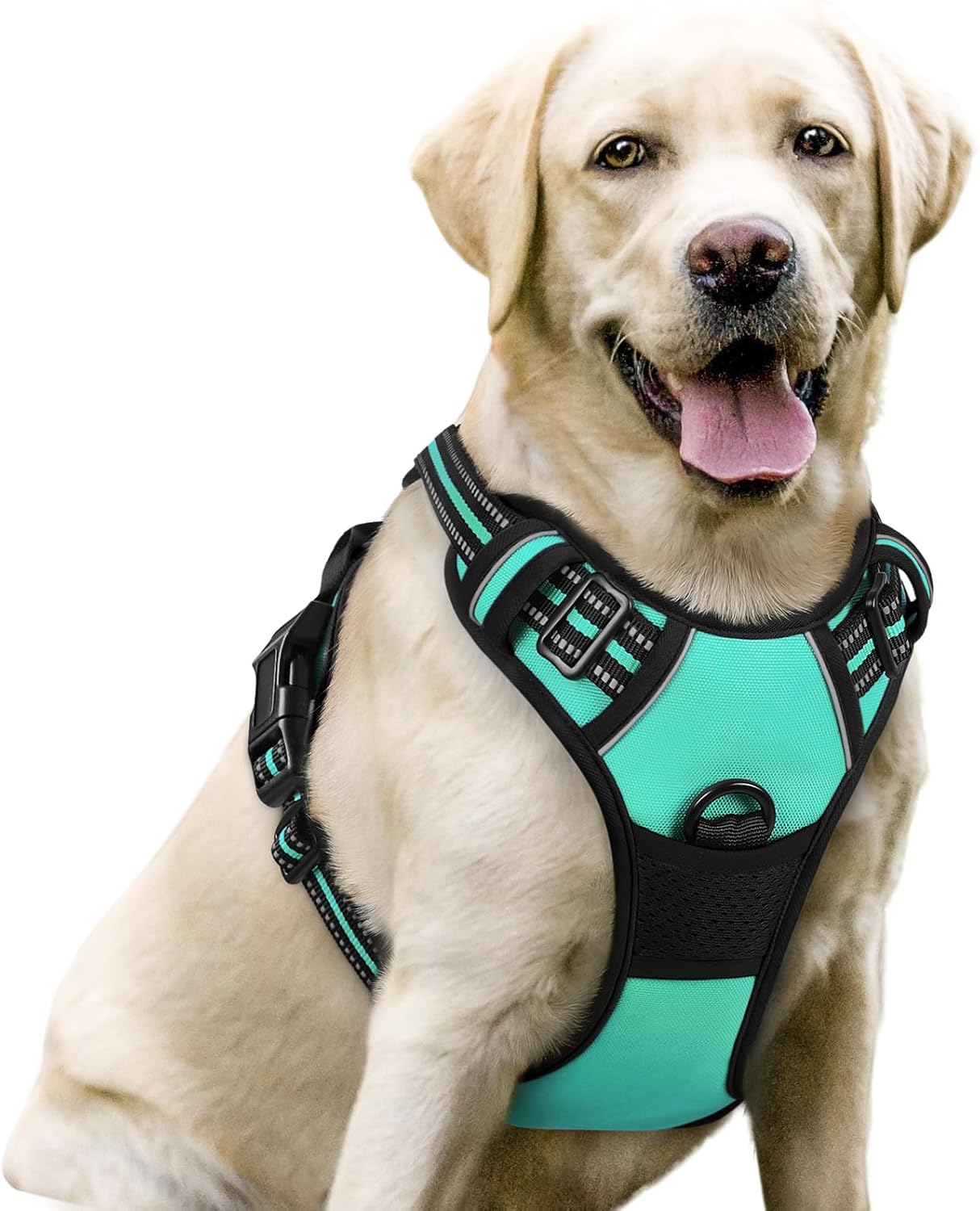 rabbitgoo Dog Harness No Pull with 2 Leash Clips, Adjustable Soft Padded, Reflective Oxford No Choke Pet Vest with Easy Control Handle for Large Dogs, Black, L