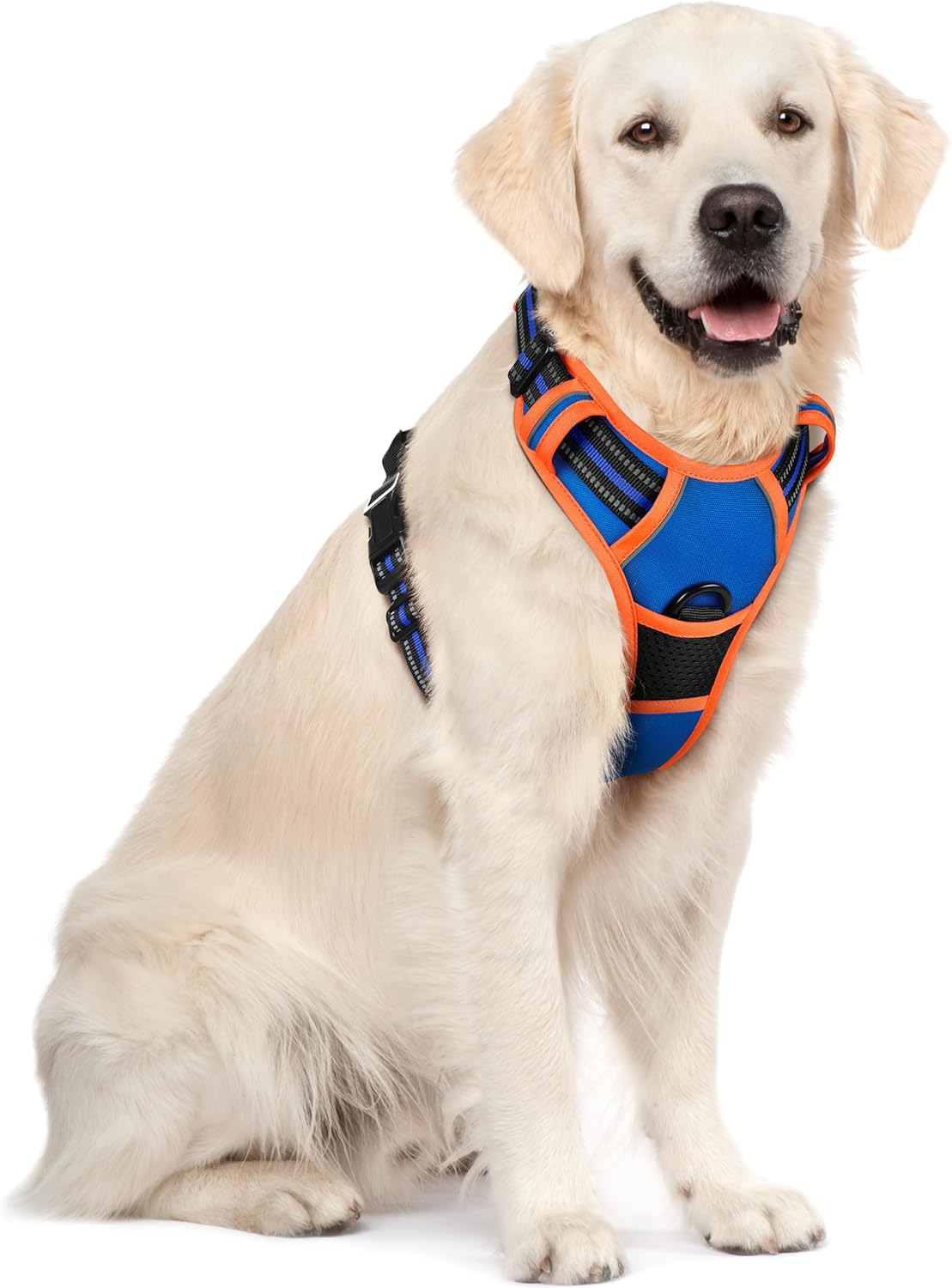 rabbitgoo Dog Harness No Pull with 2 Leash Clips, Adjustable Soft Padded, Reflective Oxford No Choke Pet Vest with Easy Control Handle for Large Dogs, Black, L