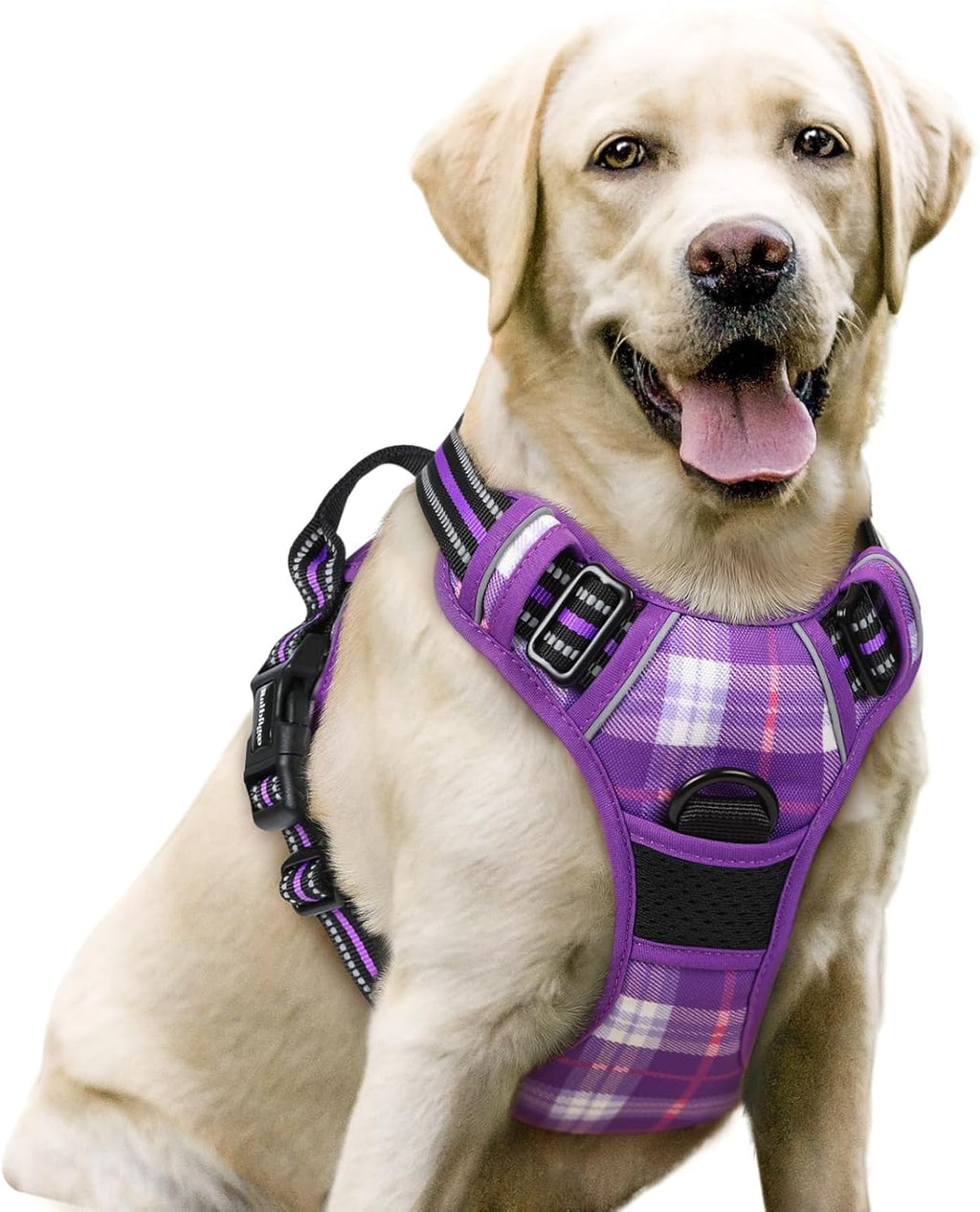 rabbitgoo Dog Harness No Pull with 2 Leash Clips, Adjustable Soft Padded, Reflective Oxford No Choke Pet Vest with Easy Control Handle for Large Dogs, Black, L
