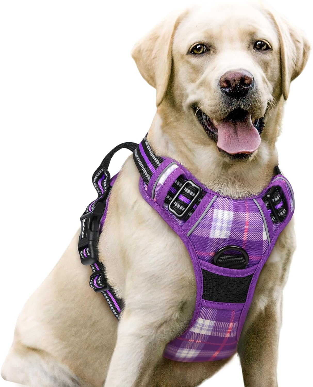 rabbitgoo Dog Harness No Pull with 2 Leash Clips, Adjustable Soft Padded, Reflective Oxford No Choke Pet Vest with Easy Control Handle for Large Dogs, Black, L