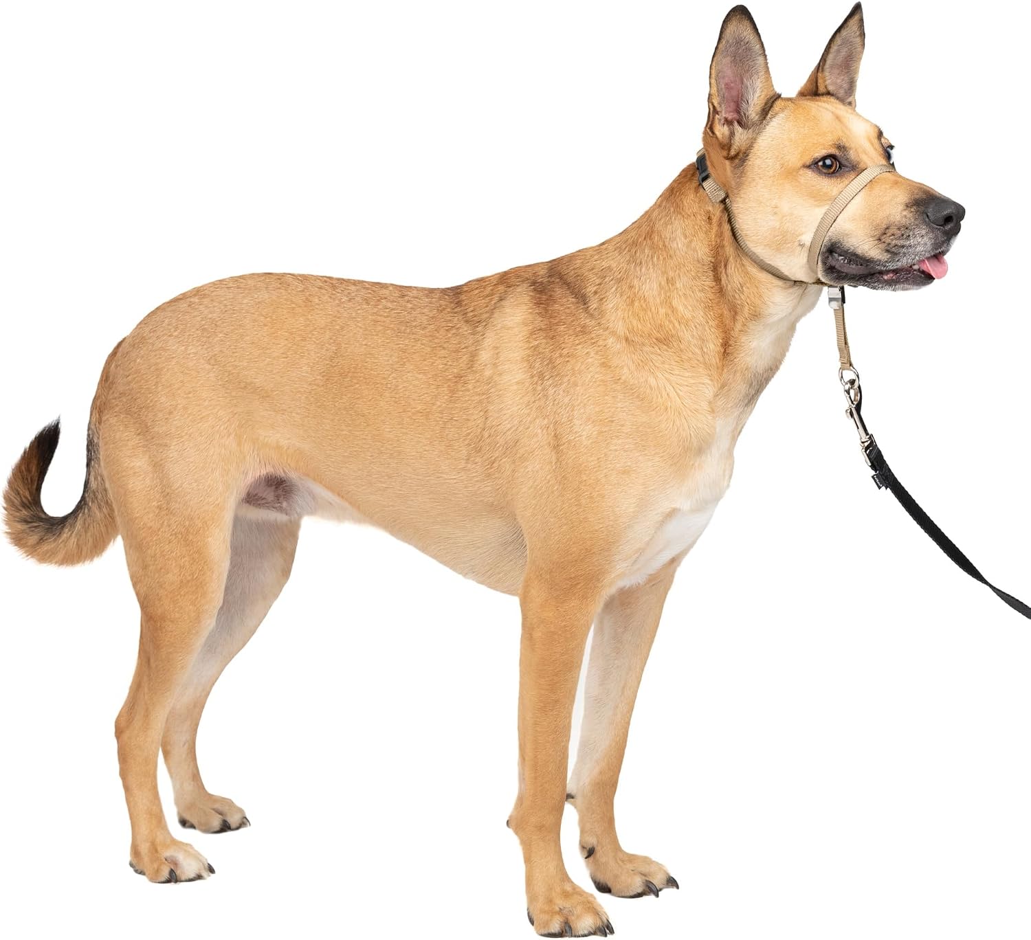 PetSafe Gentle Leader No-Pull Dog Headcollar - The Ultimate Solution to Pulling - Redirects Your Dog's Pulling for Easier Walks - Helps You Regain Control - Large, Black