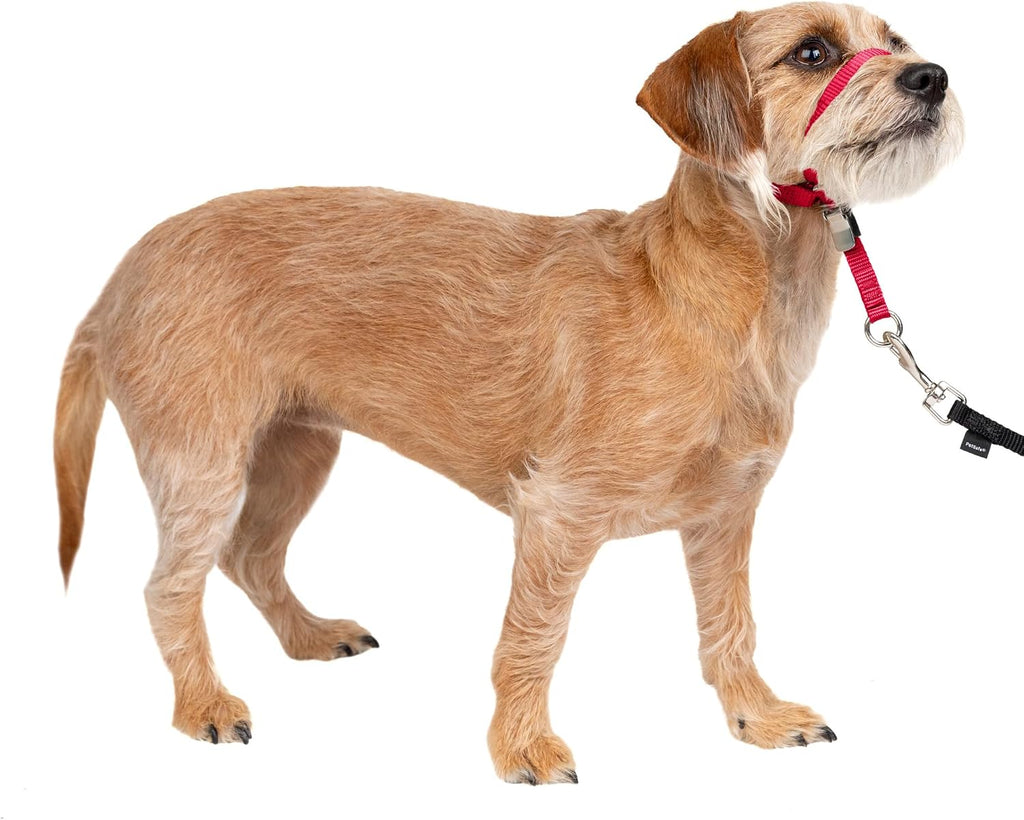 PetSafe Gentle Leader No-Pull Dog Headcollar - The Ultimate Solution to Pulling - Redirects Your Dog's Pulling for Easier Walks - Helps You Regain Control - Large, Black