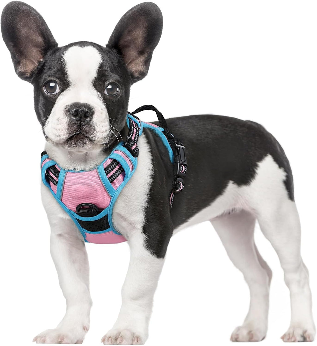 rabbitgoo Dog Harness No Pull with 2 Leash Clips, Adjustable Soft Padded, Reflective Oxford No Choke Pet Vest with Easy Control Handle for Large Dogs, Black, L