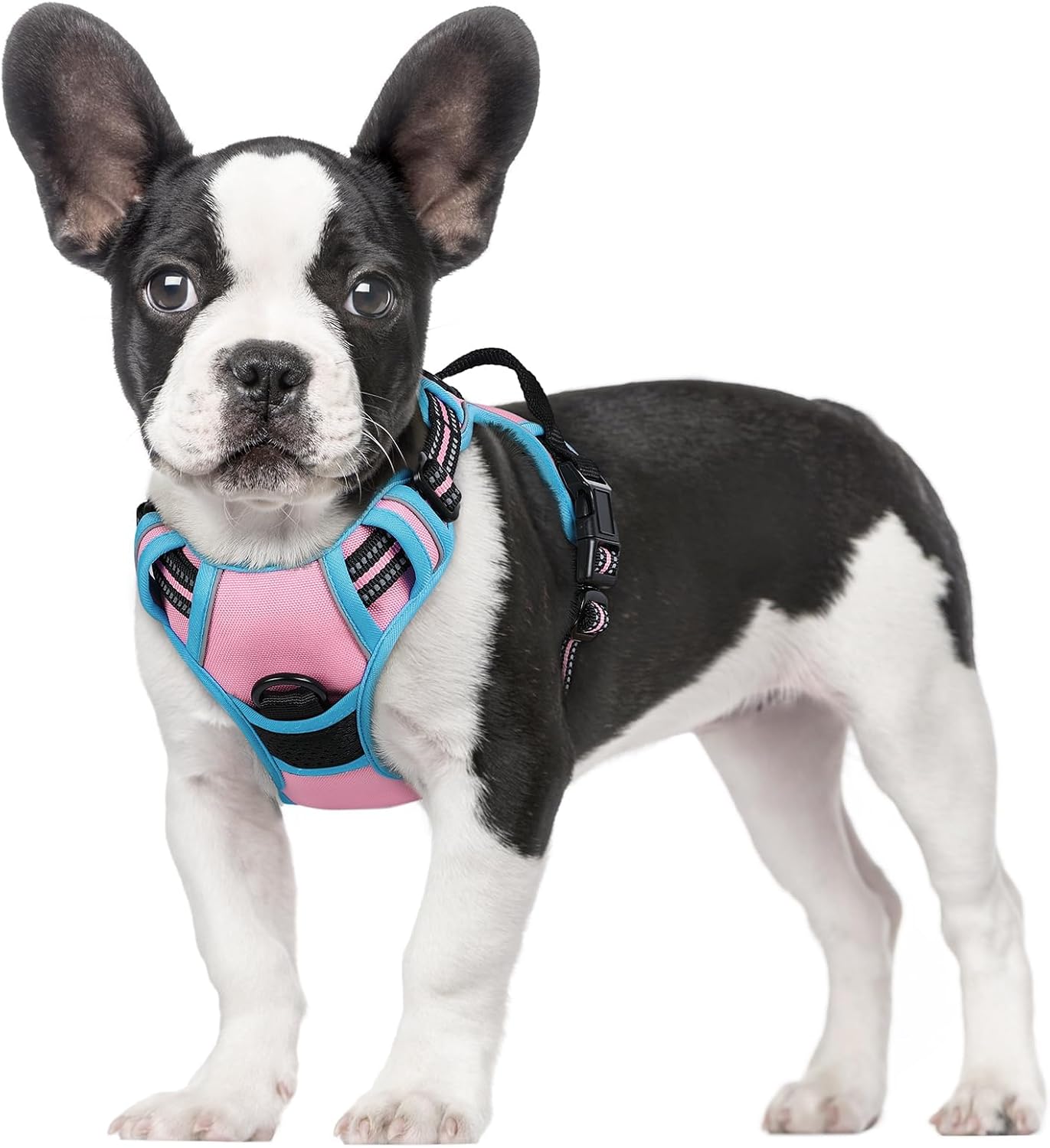 rabbitgoo Dog Harness No Pull with 2 Leash Clips, Adjustable Soft Padded, Reflective Oxford No Choke Pet Vest with Easy Control Handle for Large Dogs, Black, L