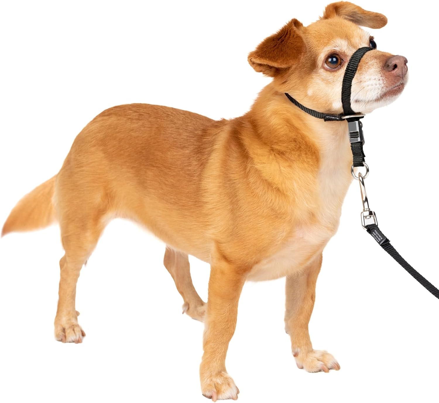PetSafe Gentle Leader No-Pull Dog Headcollar - The Ultimate Solution to Pulling - Redirects Your Dog's Pulling for Easier Walks - Helps You Regain Control - Large, Black