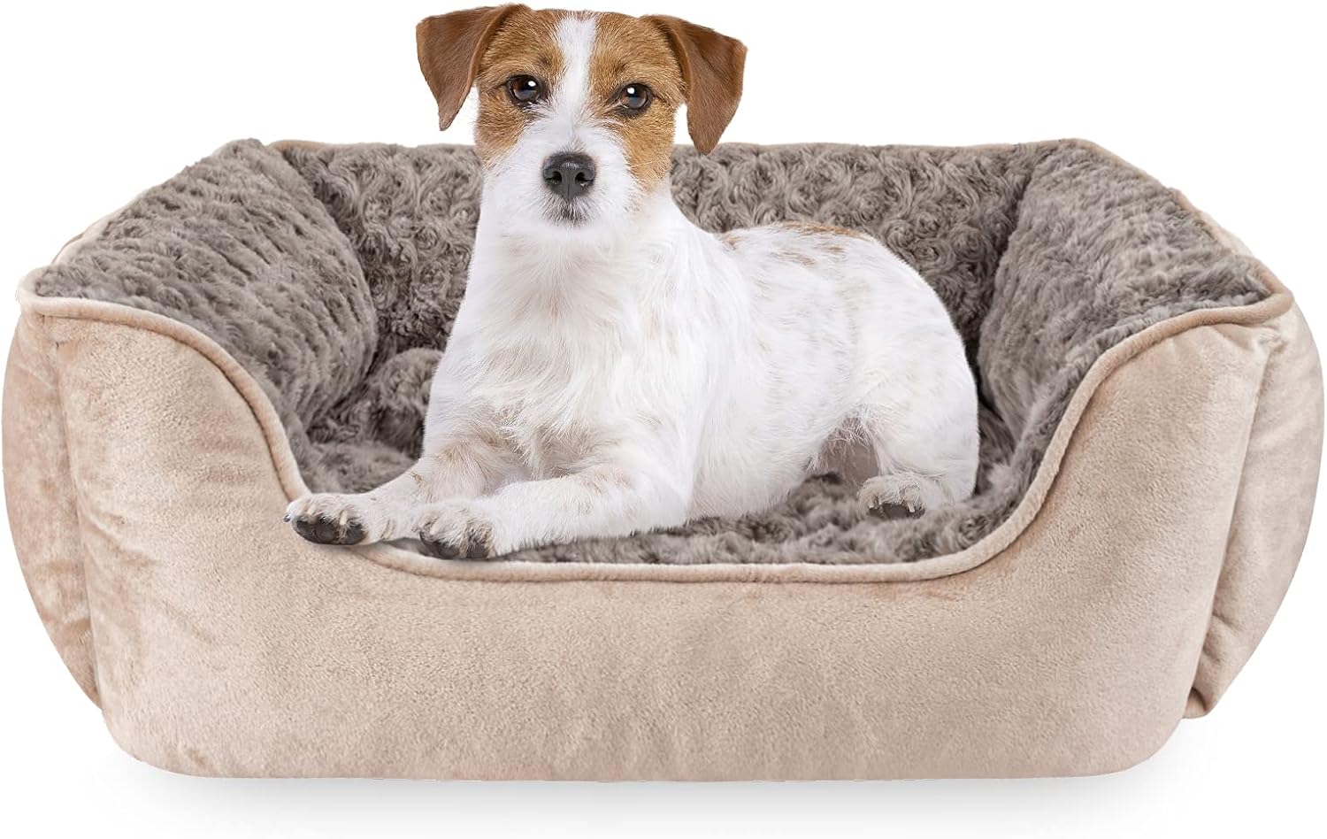 JOEJOY Rectangle Dog Bed for Large Medium Small Dogs - Washable Orthopedic Sofa Bed, Soft Breathable Puppy & Pet Cuddler, Durable Calming Dog Bed with Anti-Slip Bottom, Multiple Sizes, Beige