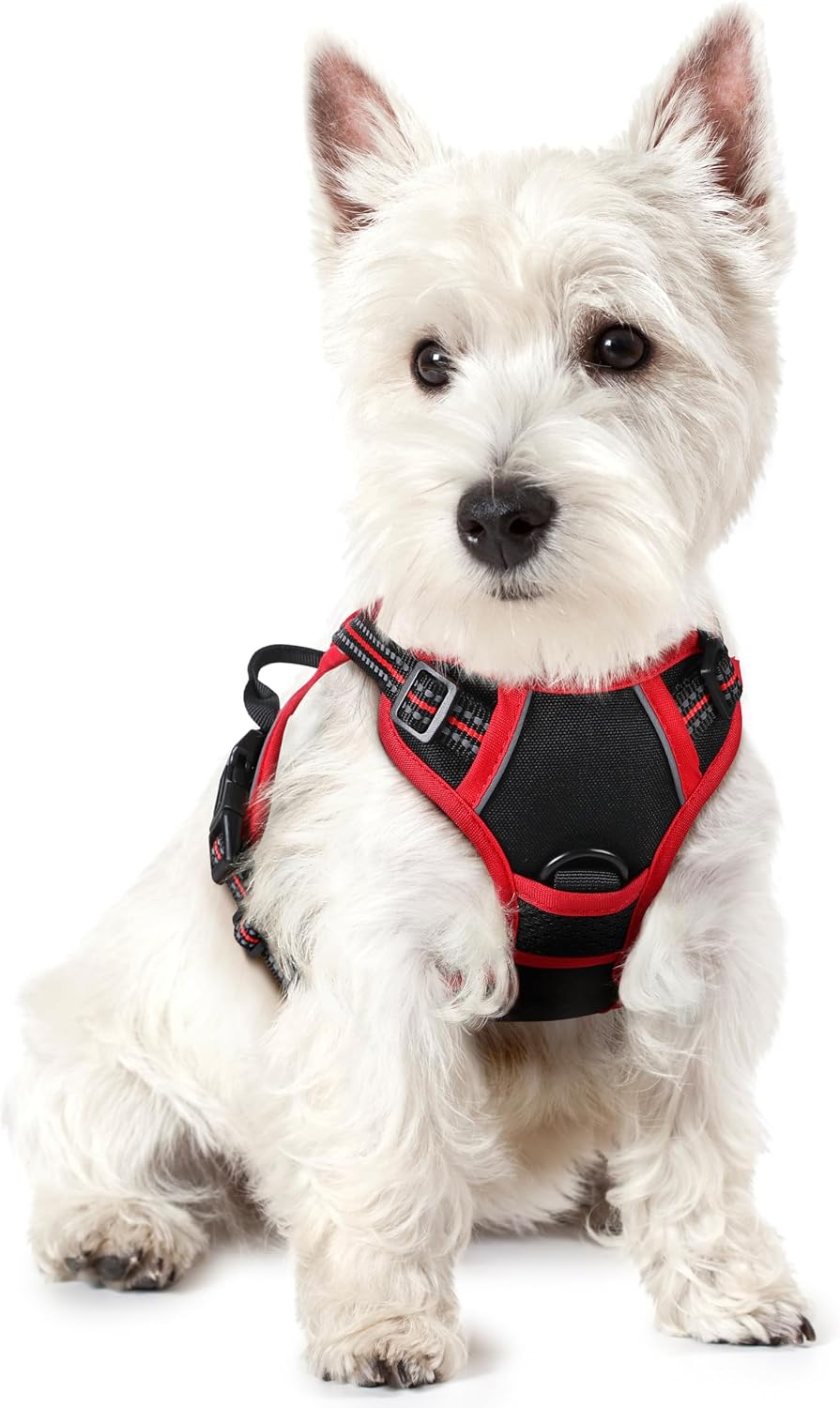 rabbitgoo Dog Harness No Pull with 2 Leash Clips, Adjustable Soft Padded, Reflective Oxford No Choke Pet Vest with Easy Control Handle for Large Dogs, Black, L