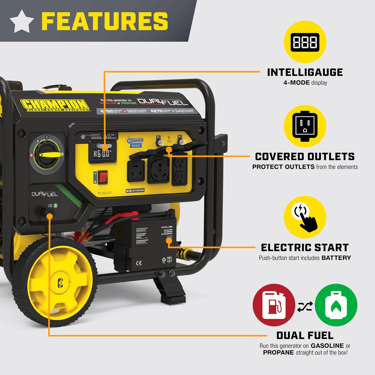 Champion Power Equipment 4750-Watt Electric Start Dual Fuel RV Ready Portable Generator with Free 3-Year Warranty, CARB Compliant