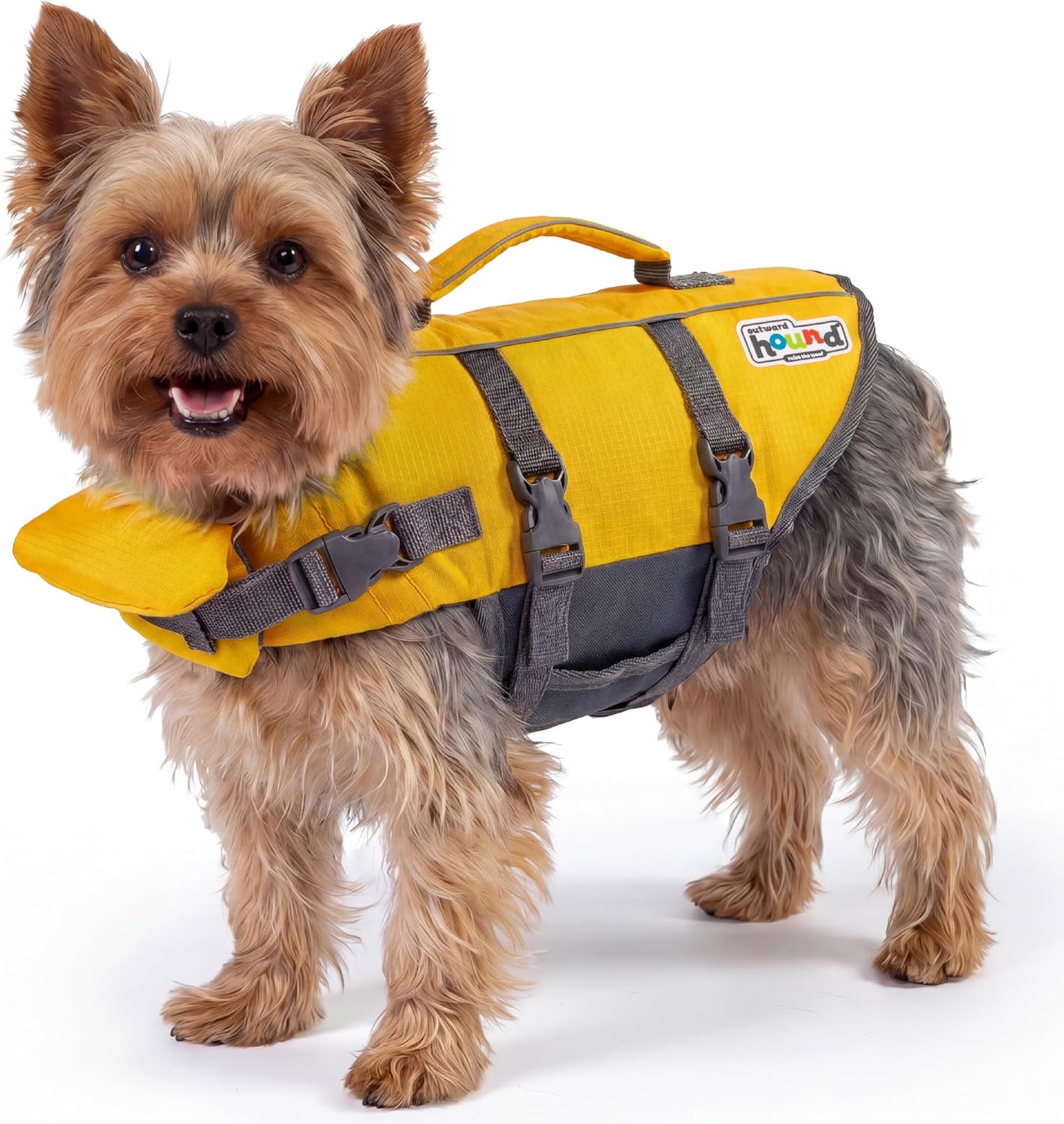 Outward Hound Granby Splash Orange Dog Life Jacket, Large