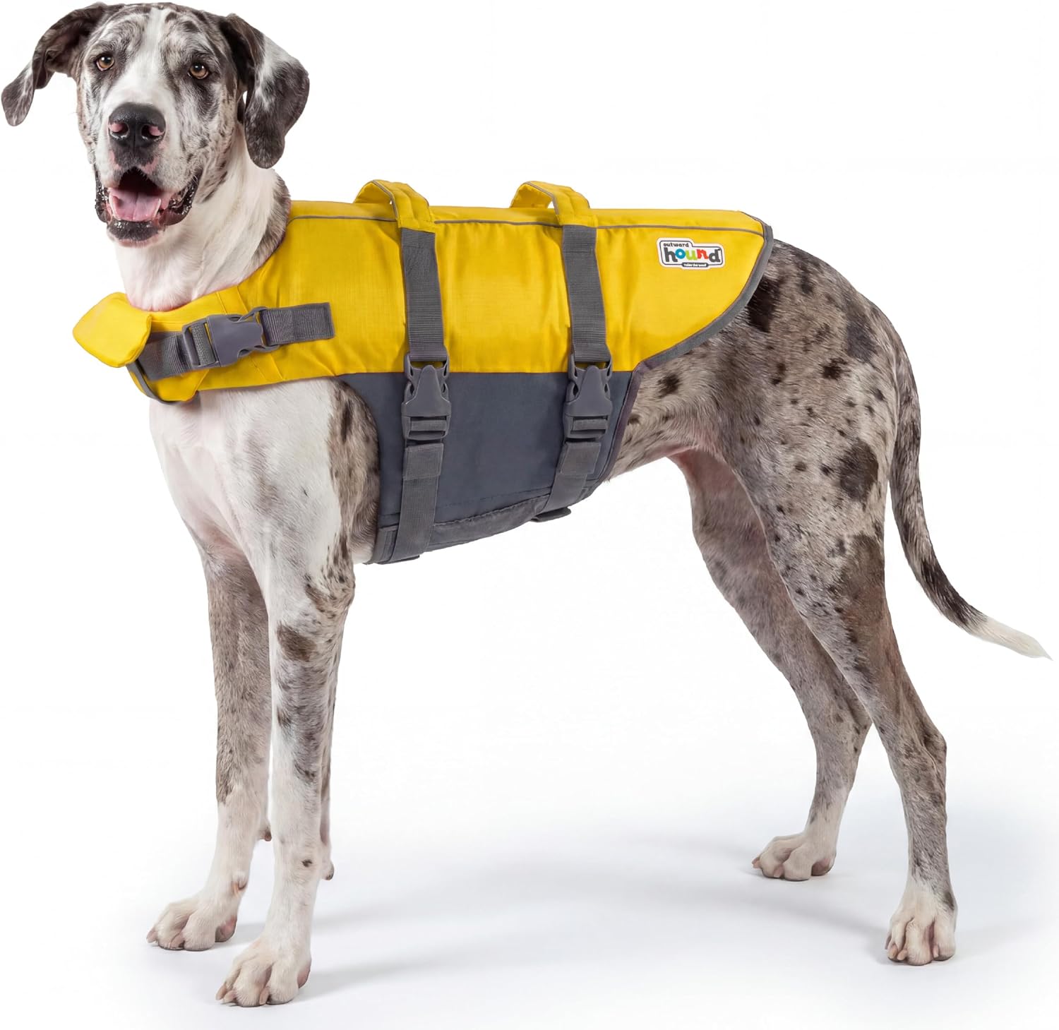 Outward Hound Granby Splash Orange Dog Life Jacket, Large