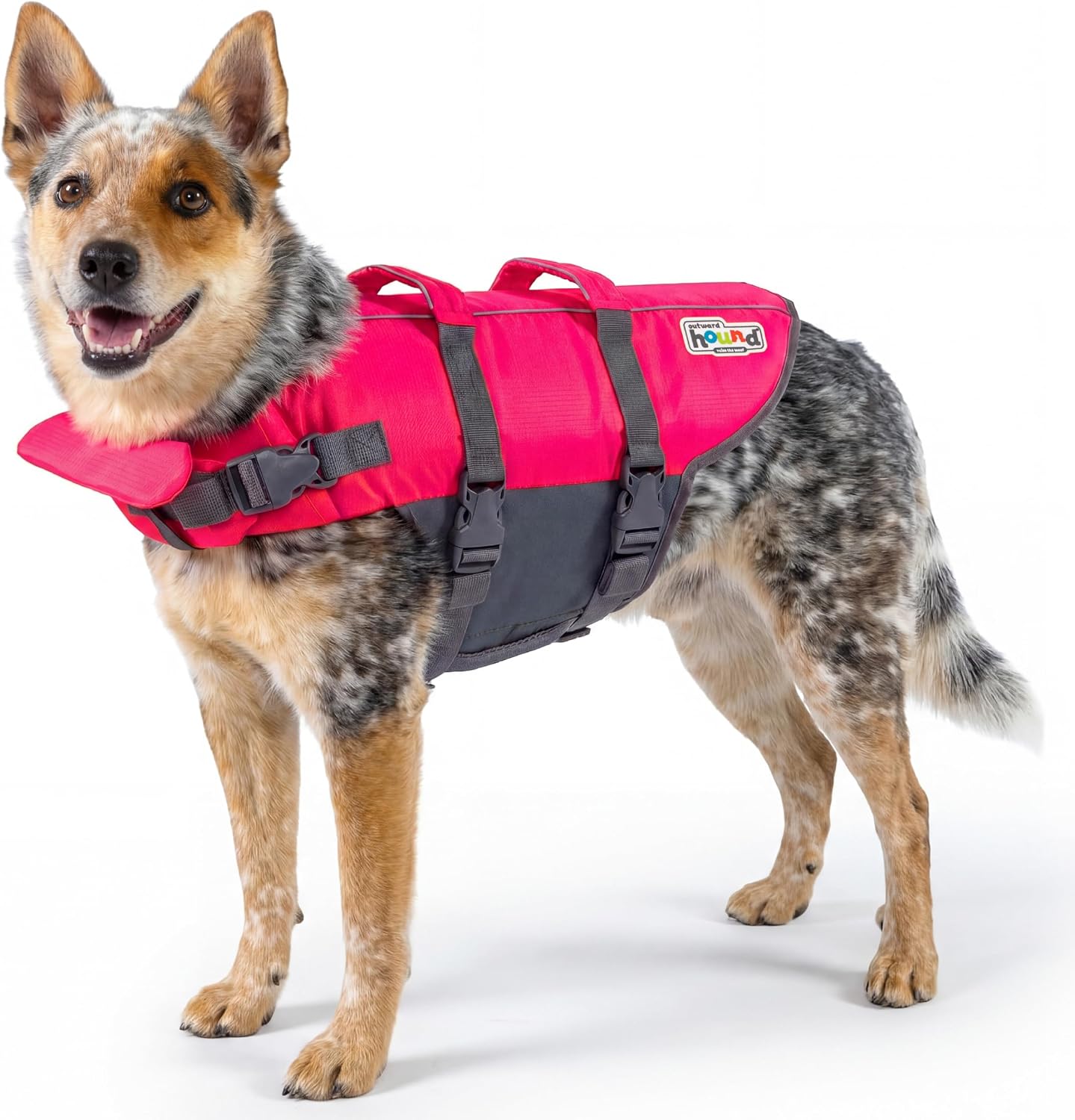 Outward Hound Granby Splash Orange Dog Life Jacket, Large